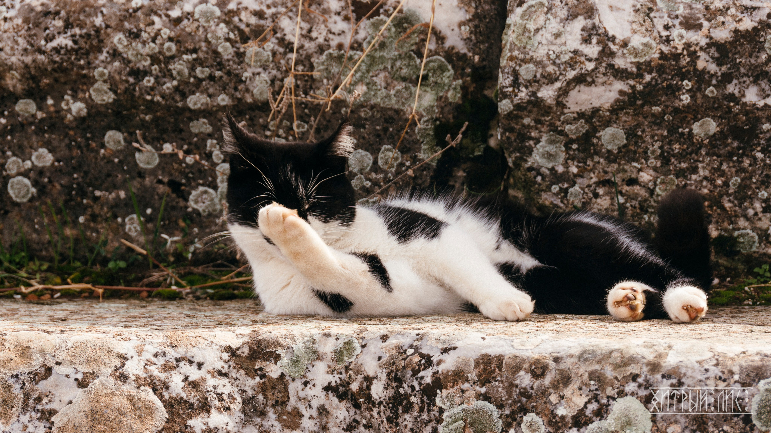 Турция. Фотограф-путешественник Самойлов Максим «Sly Fox»