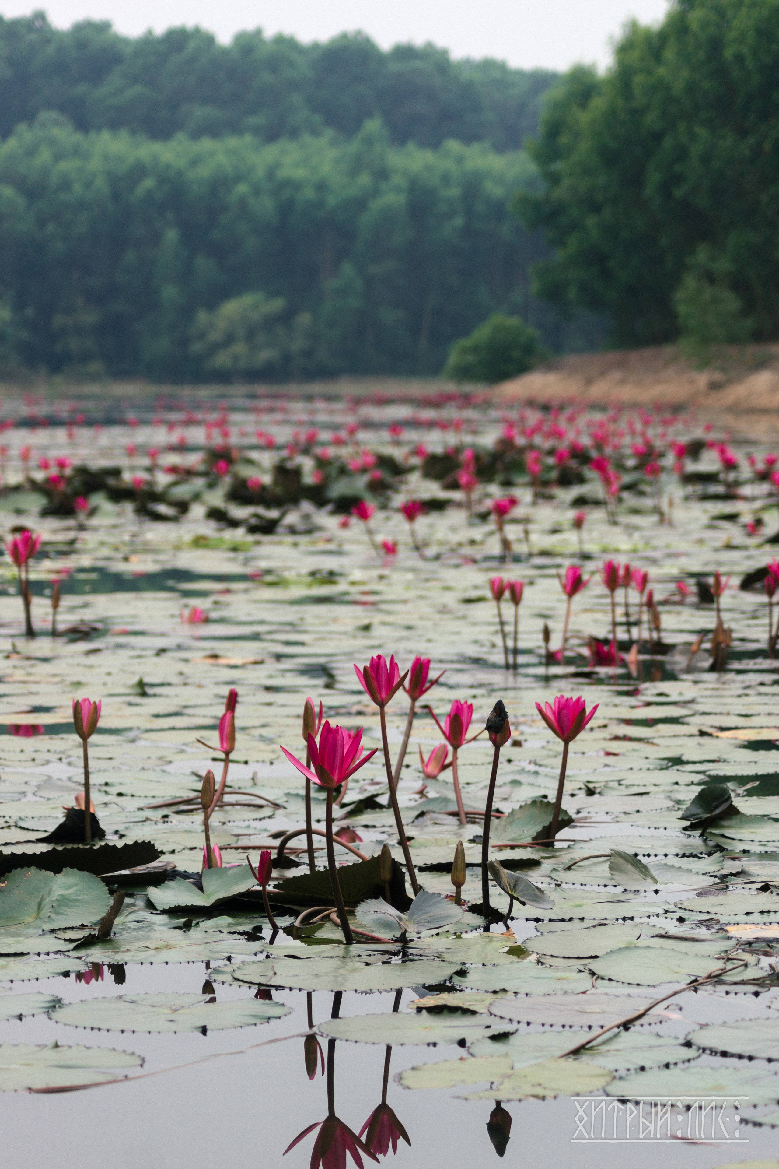 Вьетнам. Фотограф-путешественник Самойлов Максим «Sly Fox»