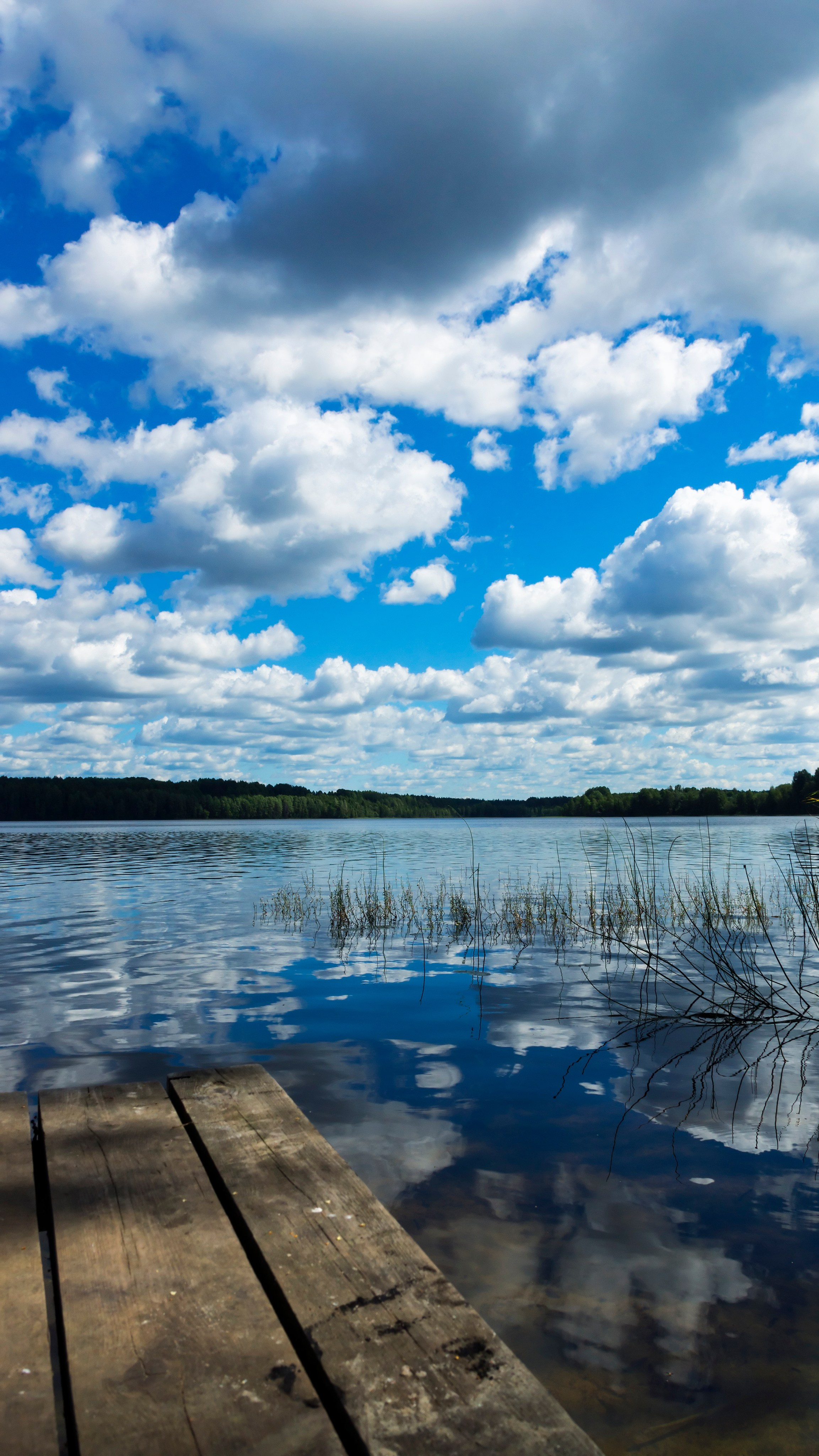 Карелия. Фотограф-путешественник Самойлов Максим «Sly Fox»