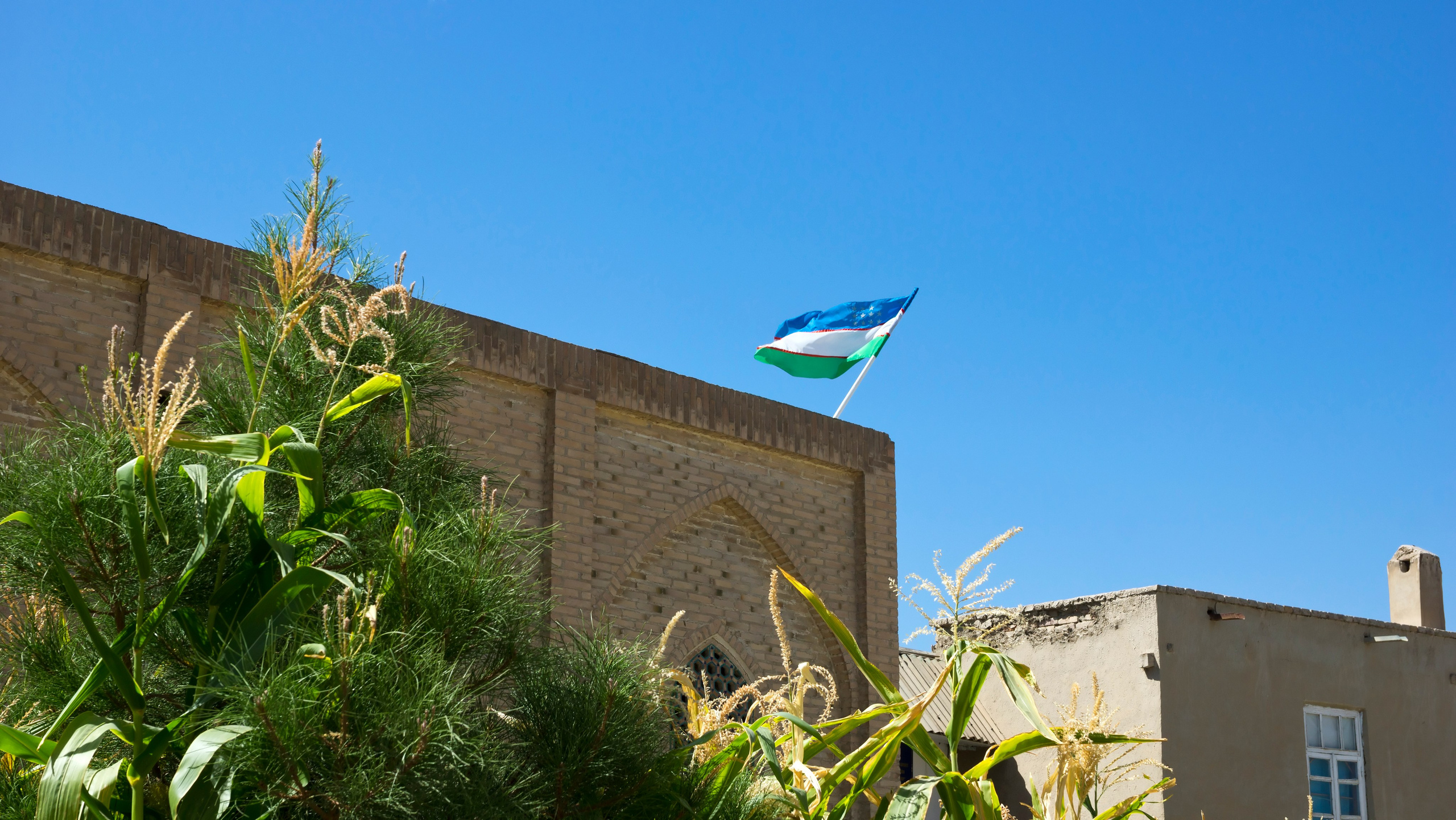 Узбекистан. Фотограф-путешественник Самойлов Максим «Sly Fox»