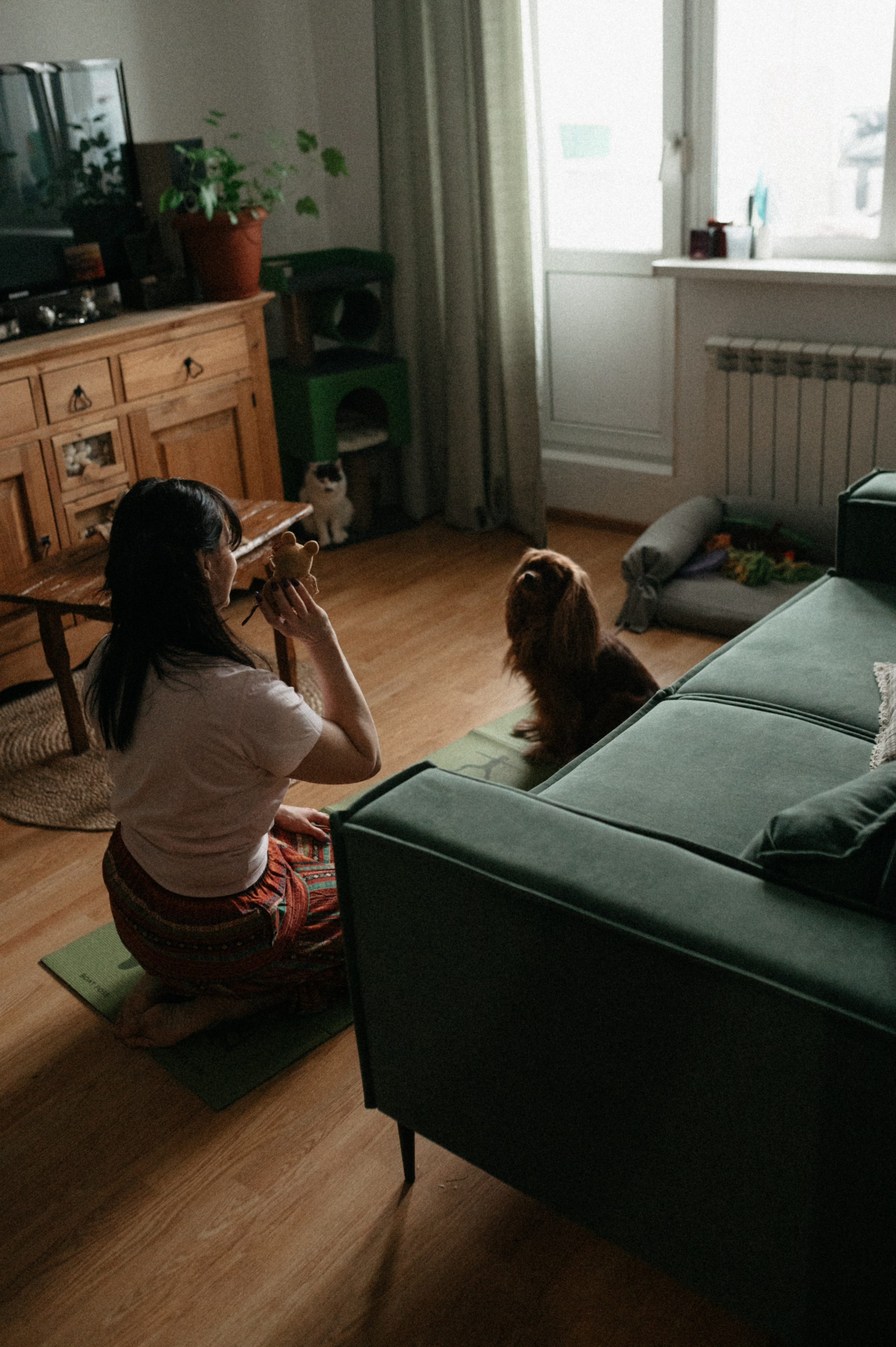 Оля и её меховая банда. Фотограф анималист в Москве Ольга Агушева