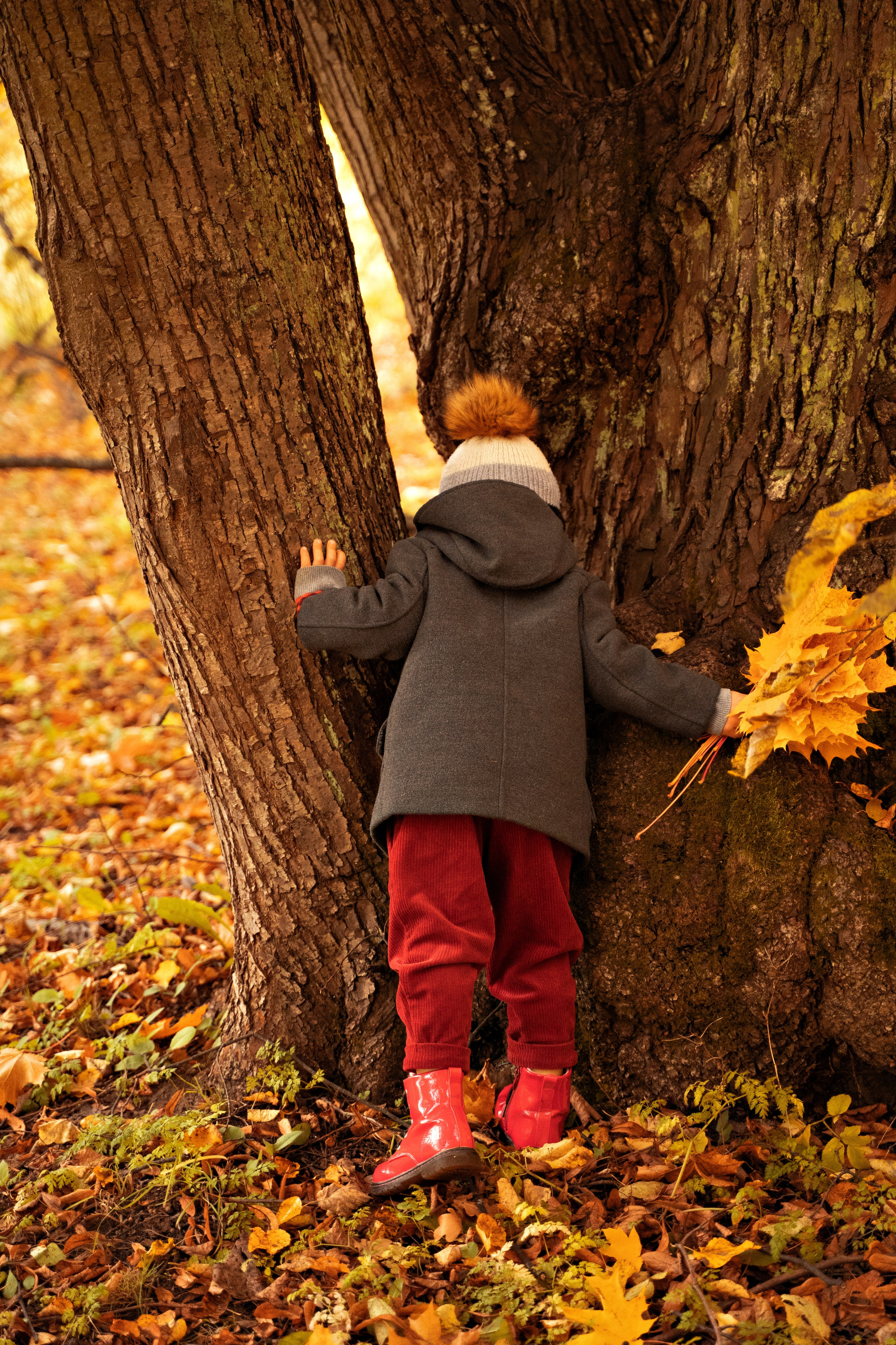 Дмитрий Юлия и Мишенька. Свадебный фотограф Санкт-Петербург, Сочи, Питер, Выборг, Луга, Псков