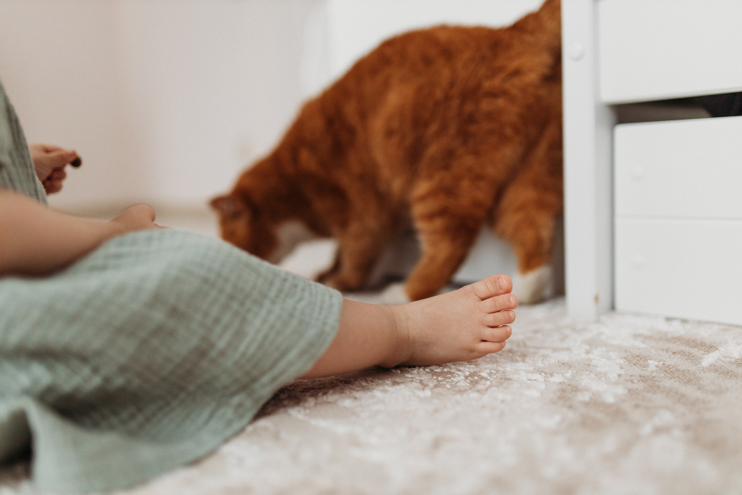 Домашняя фотосессия День Рождения Василисы. Фотограф Тверь. Свадебные, семейные, индивидуальные фотосессии