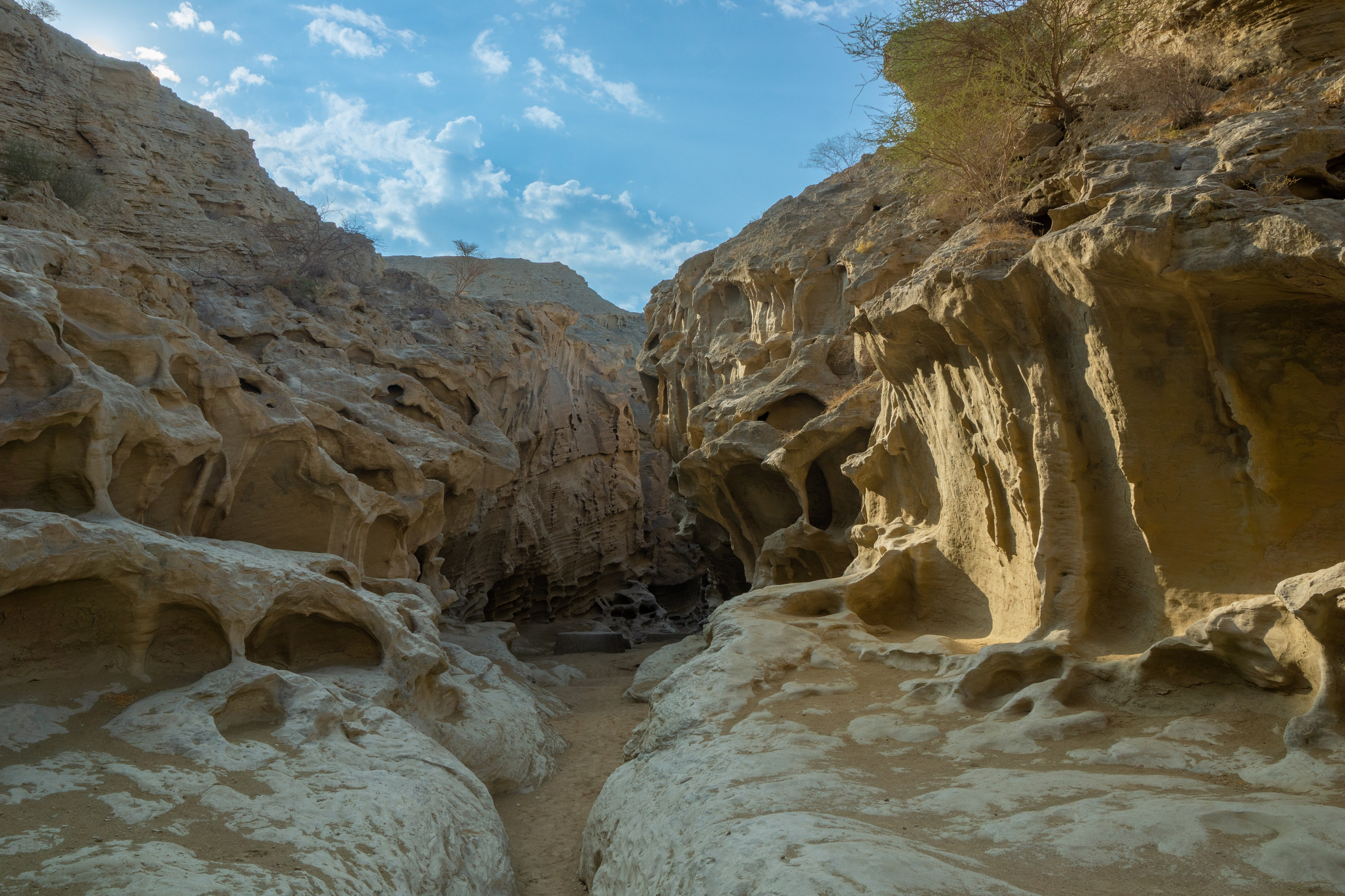 Иран. Фотограф-путешественник Самойлов Максим «Sly Fox»