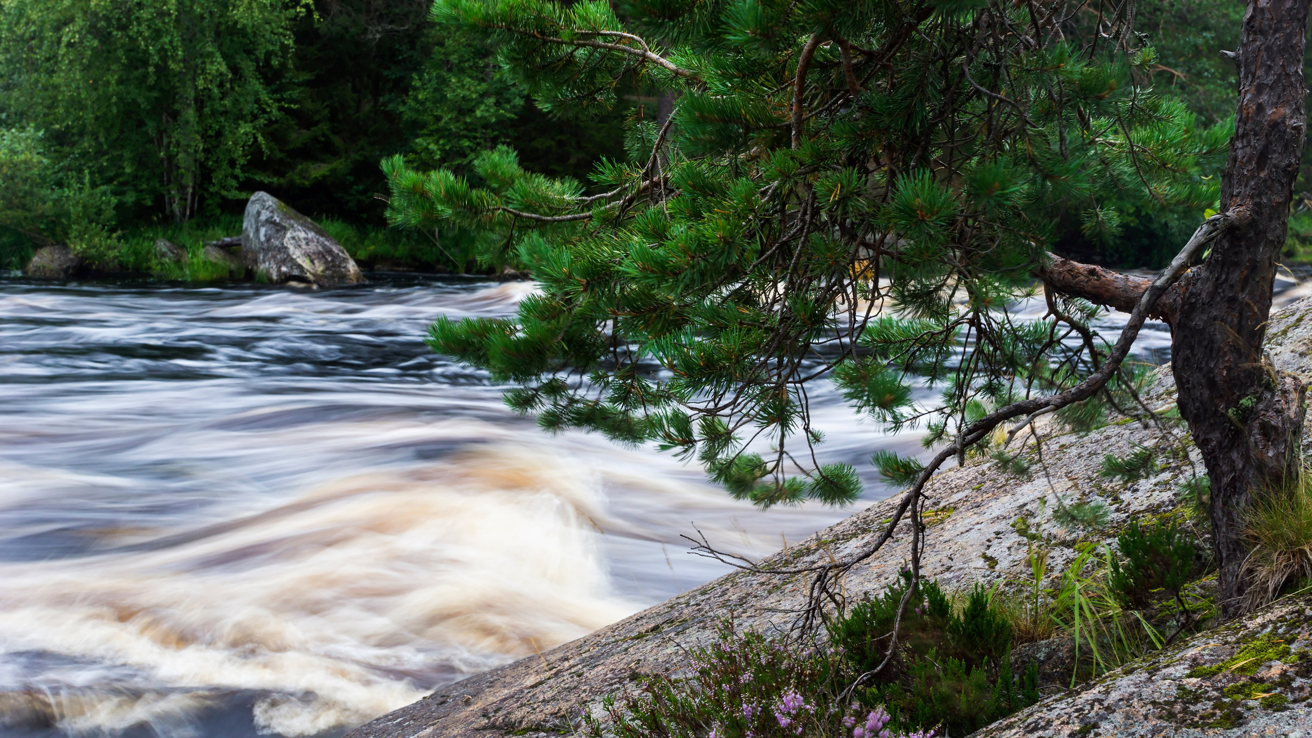 Карелия. Фотограф-путешественник Самойлов Максим «Sly Fox»