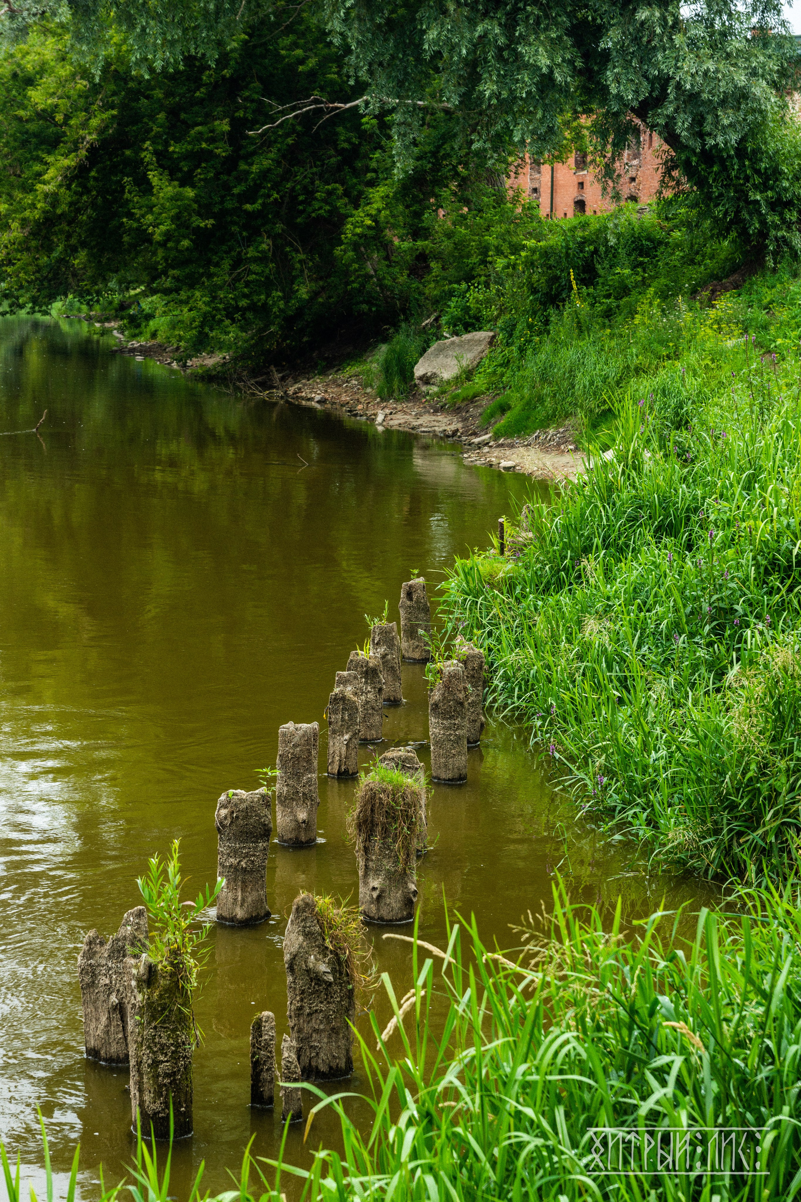 Беларусь. Фотограф-путешественник Самойлов Максим «Sly Fox»