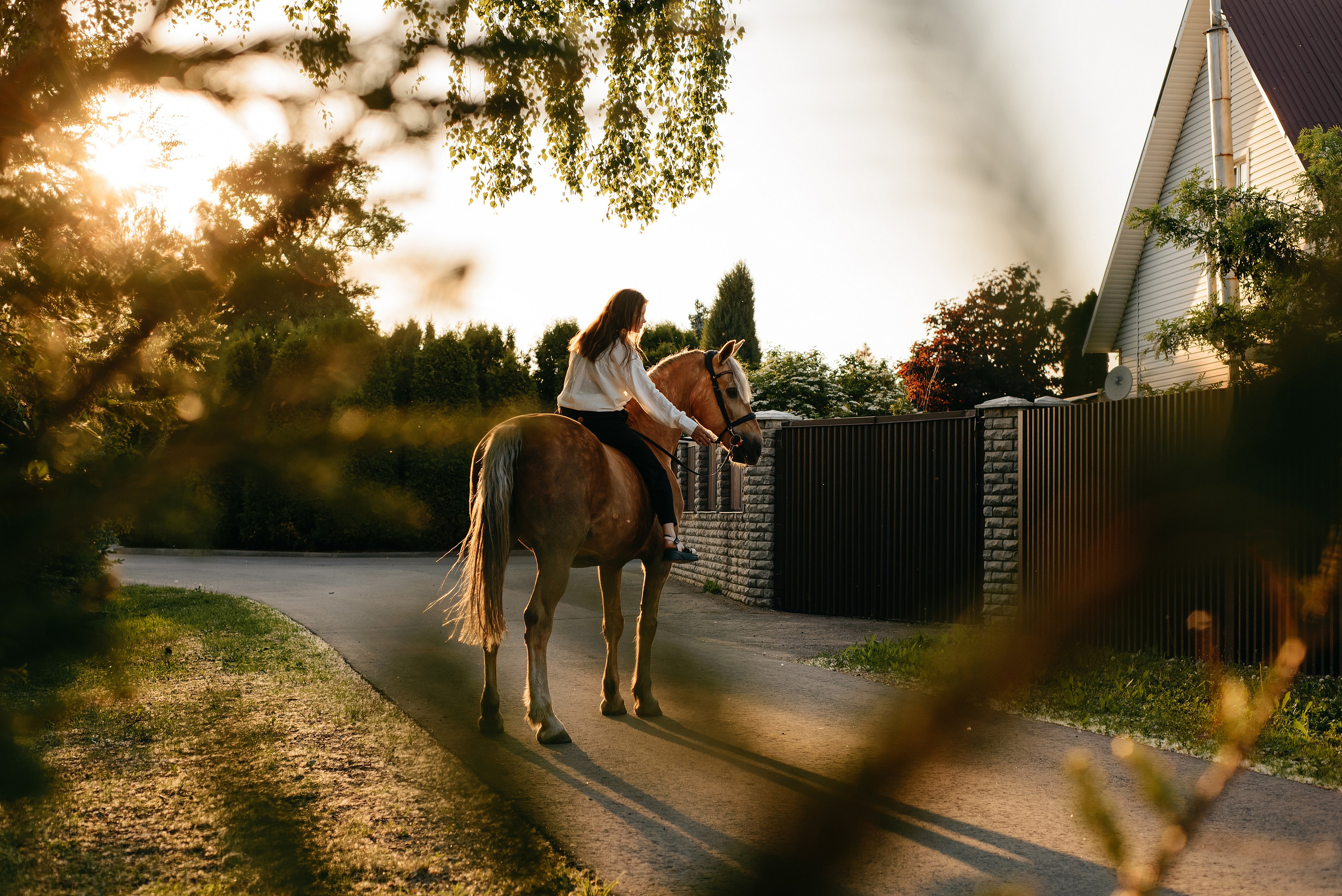 Фотосессии