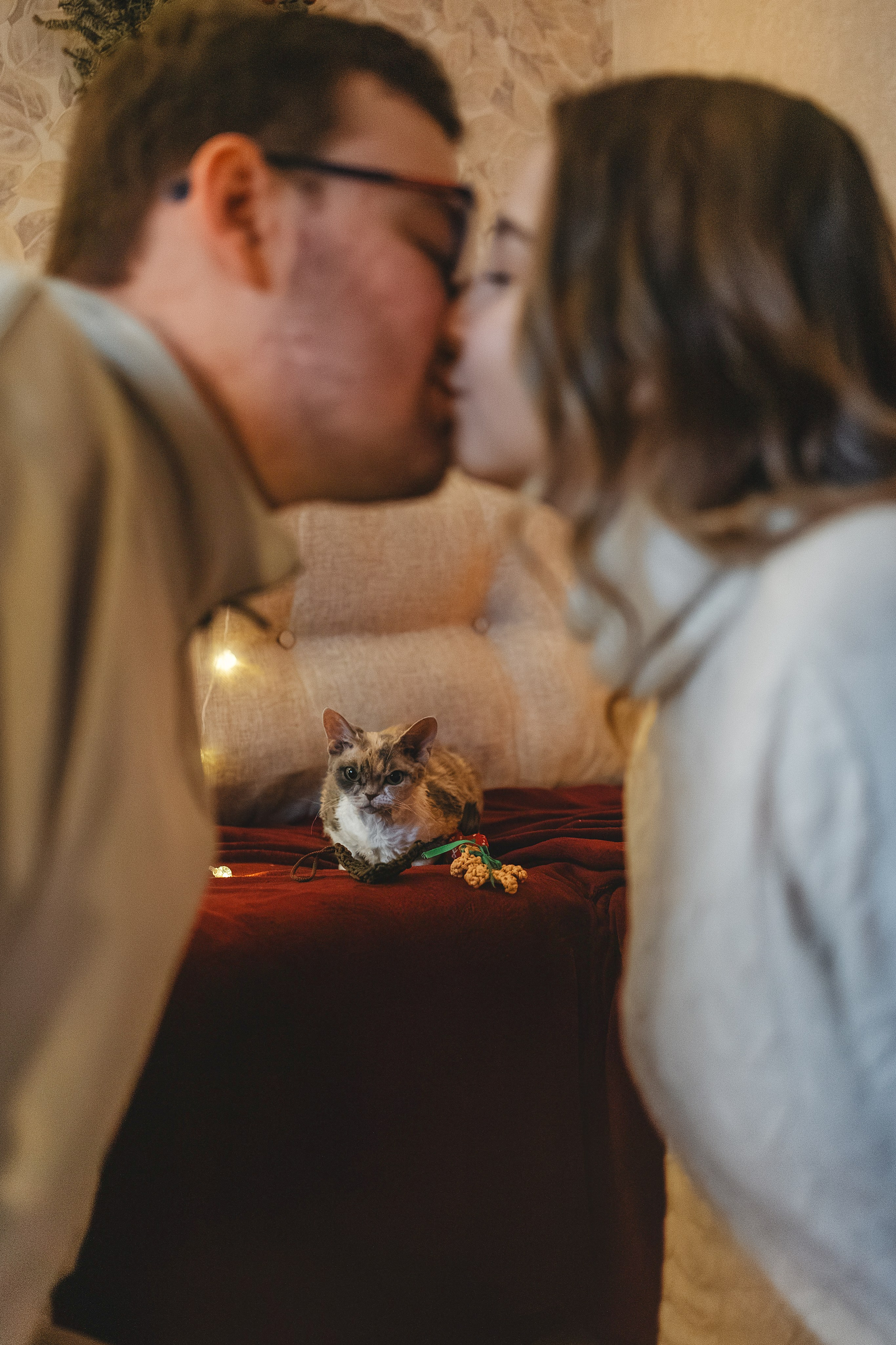 Домашняя новогодняя. Фотограф Анималист в Москве Анастасия Жучкова