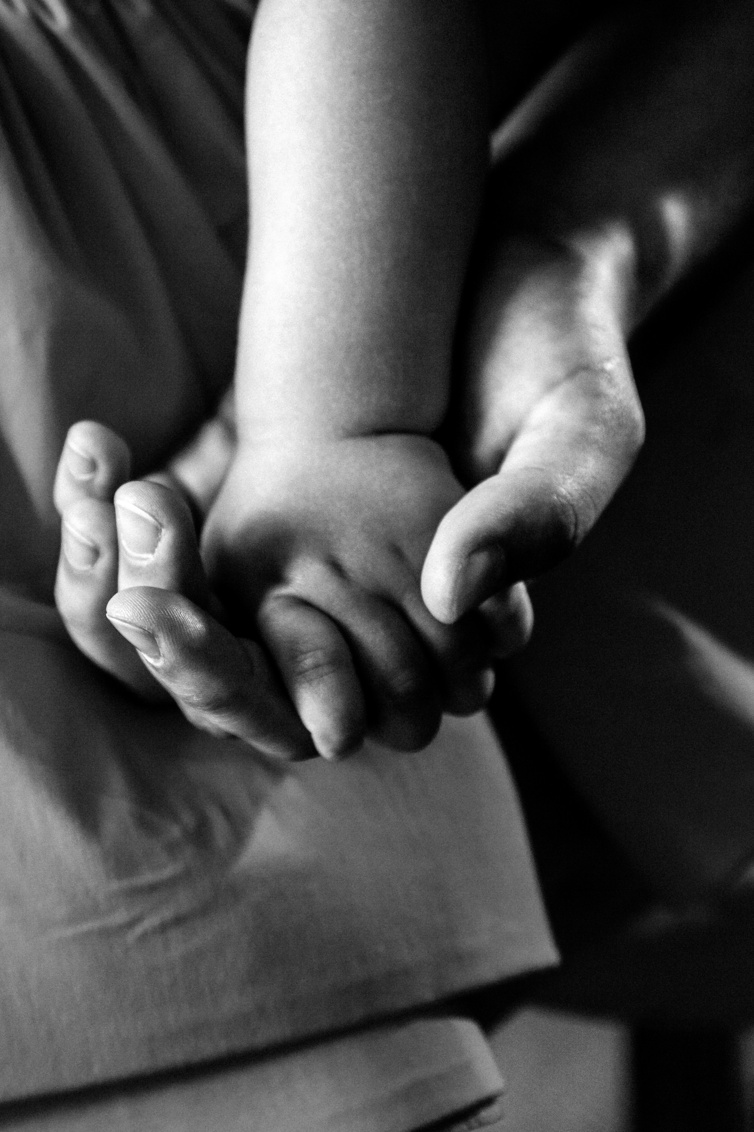 Артур, Кристина и Аврора. Портретный, семейный, свадебный фотограф в Брянске Маргарита Василькова