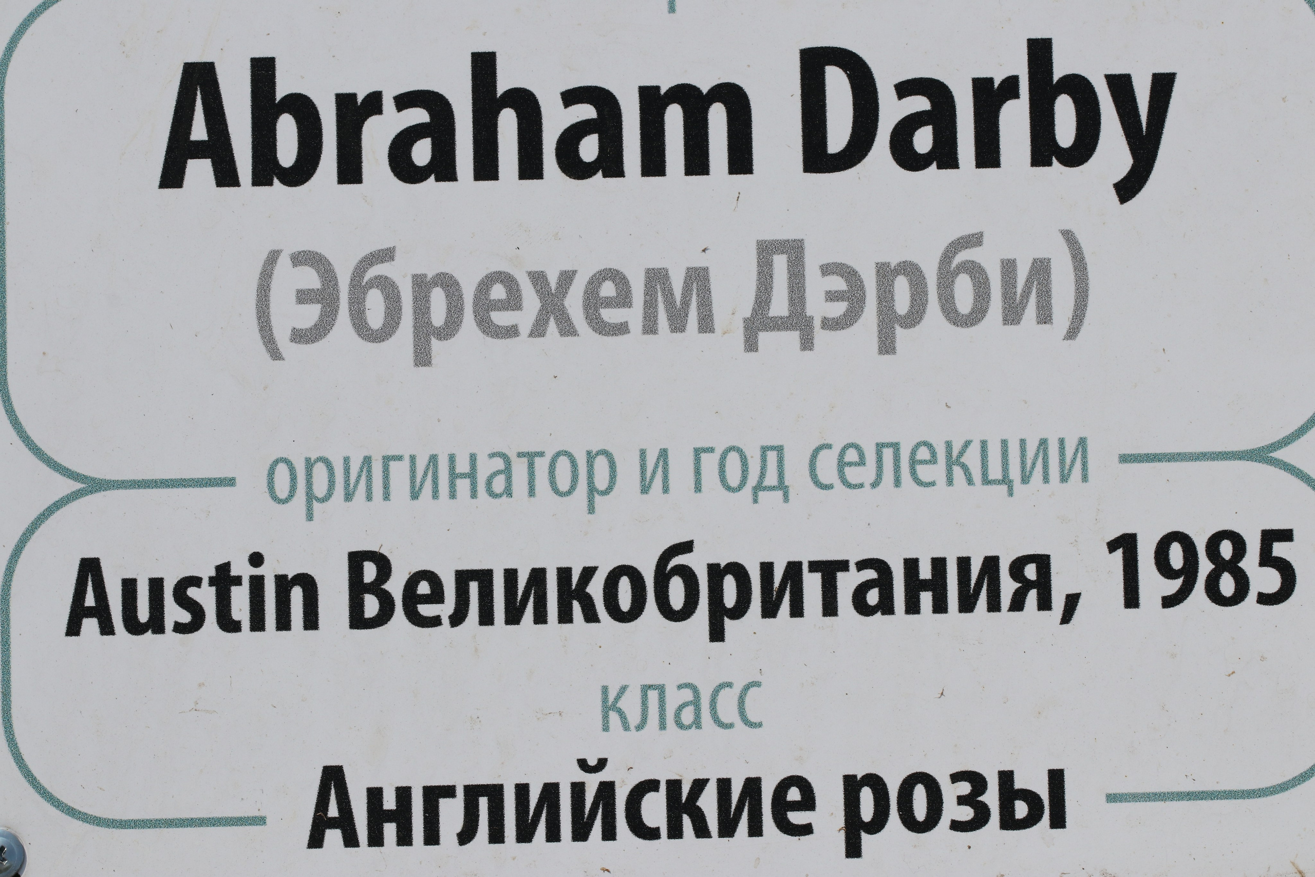 Долина роз в Кисловодске. Фото-художник и Репортажный фотограф Николаев Александр Алексеевич