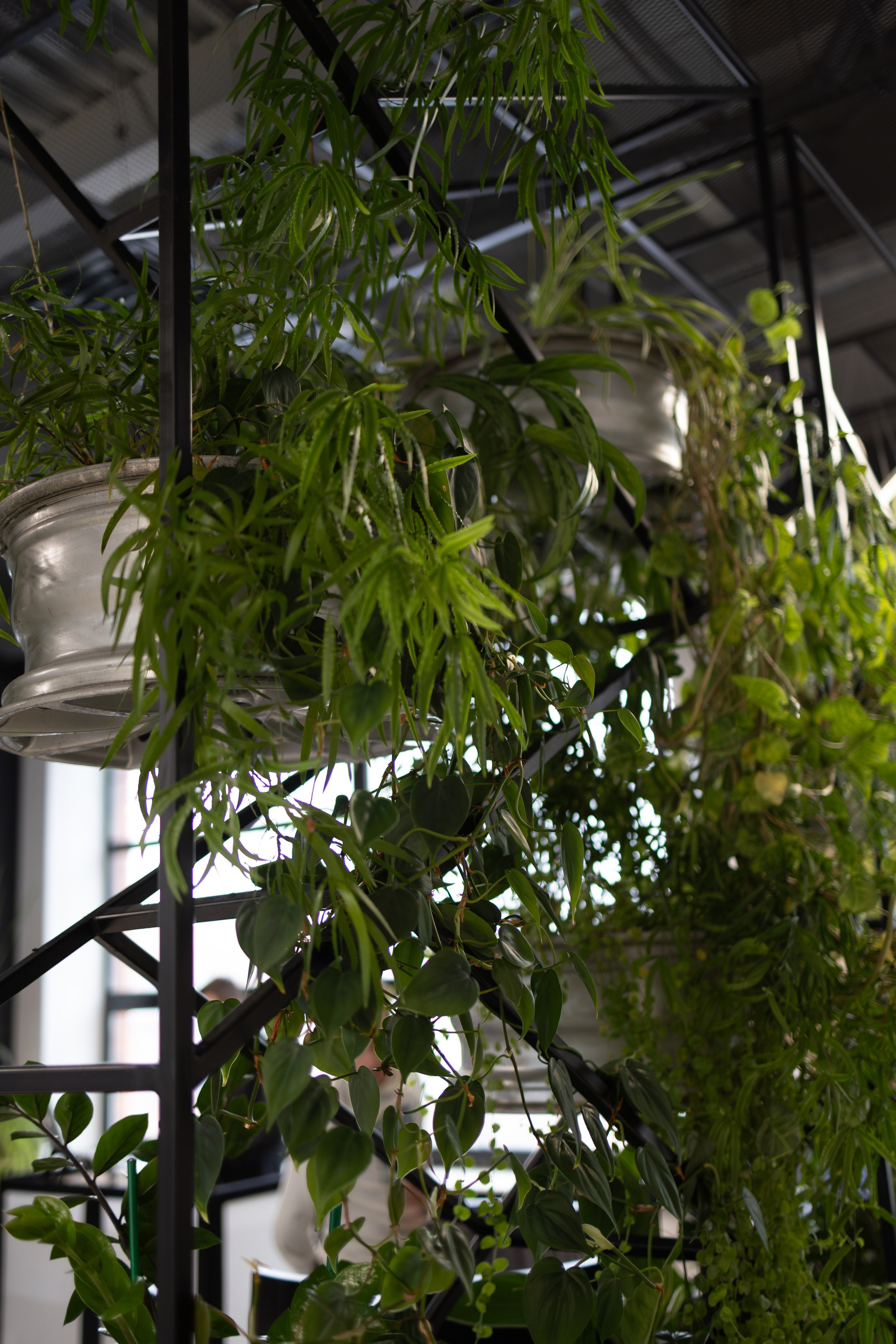 Делимобиль — выход компании на IPO. Фотограф Александр Тулупов