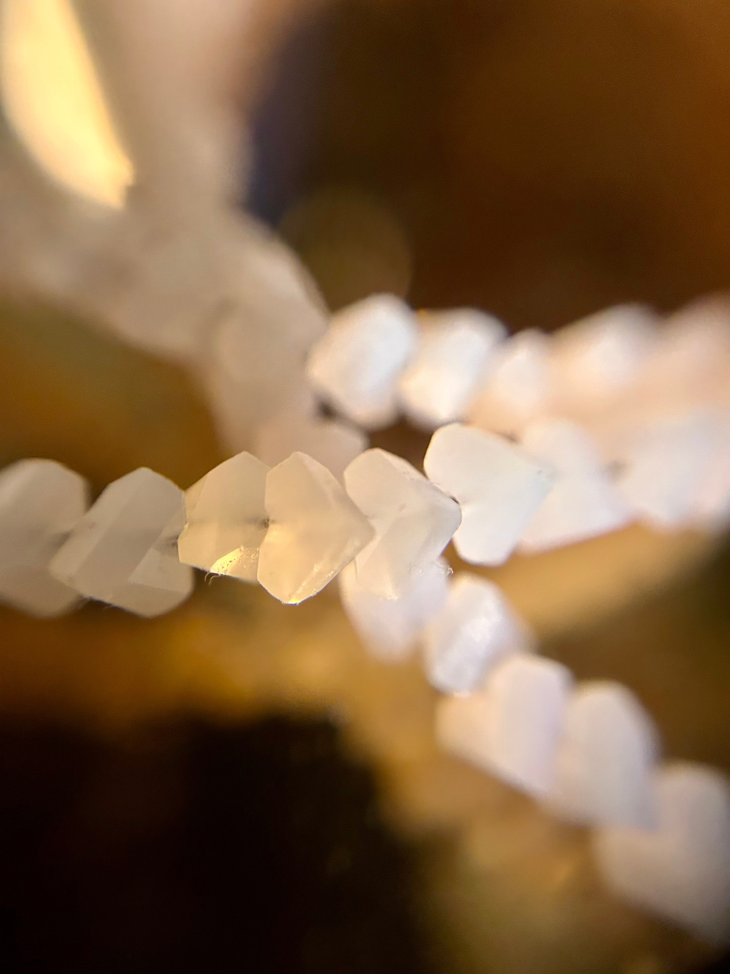 Макромир. Фотокружок «Видоискатель» ГБОУ СОШ № 291