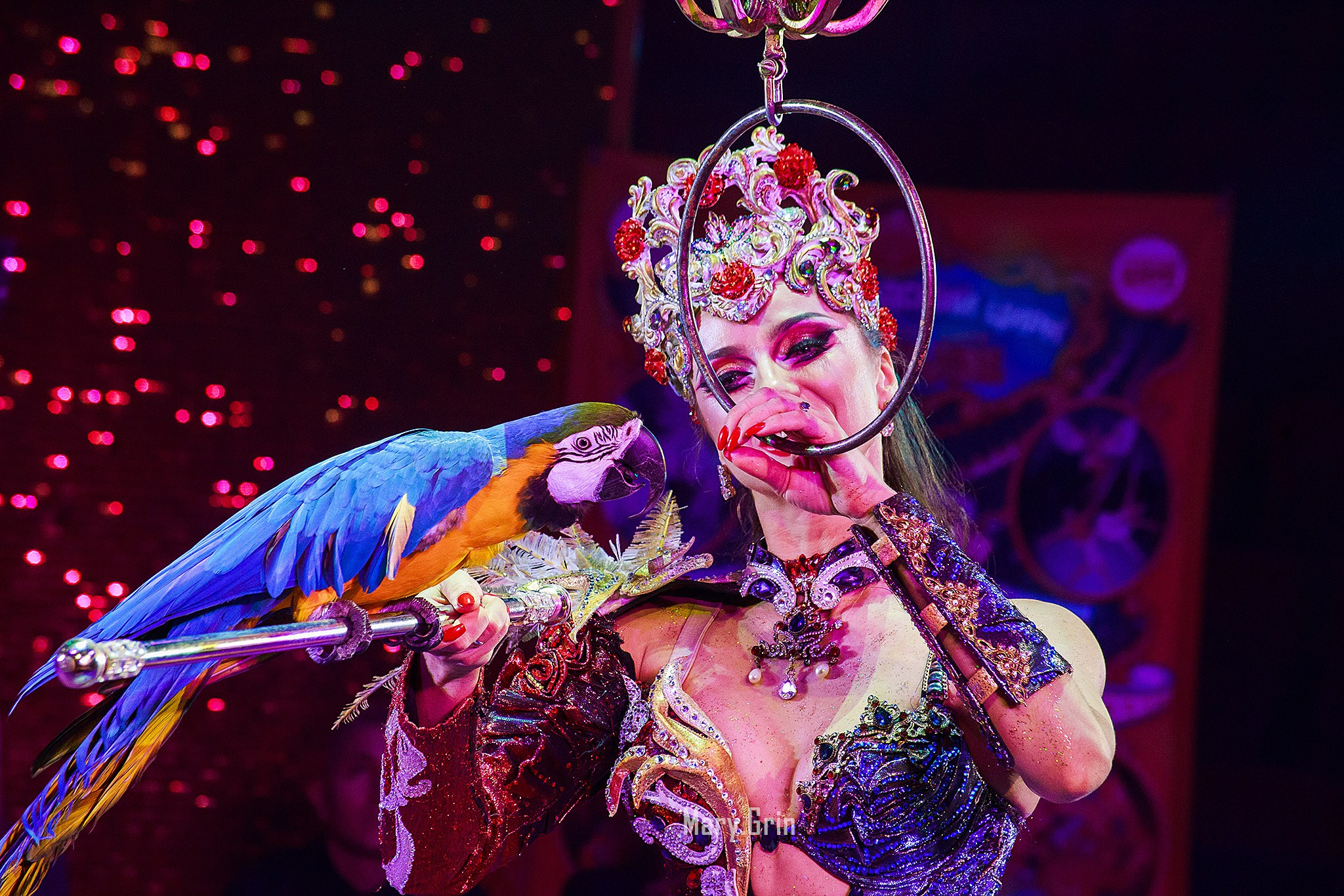 Цирк Гии Эрадзе. Детский и семейный фотограф, фотограф мероприятий Нижний Новгород