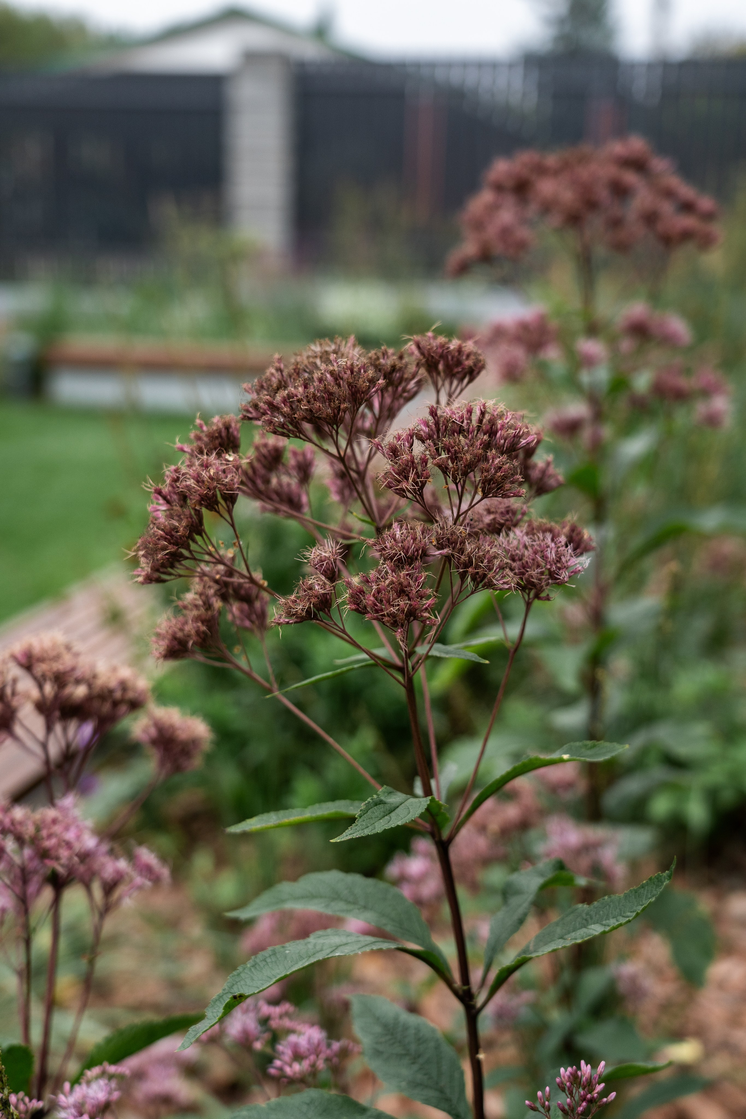 Private house, Moscow region. Артамонов Александр | Архитектурный и ландшафтный фотограф
