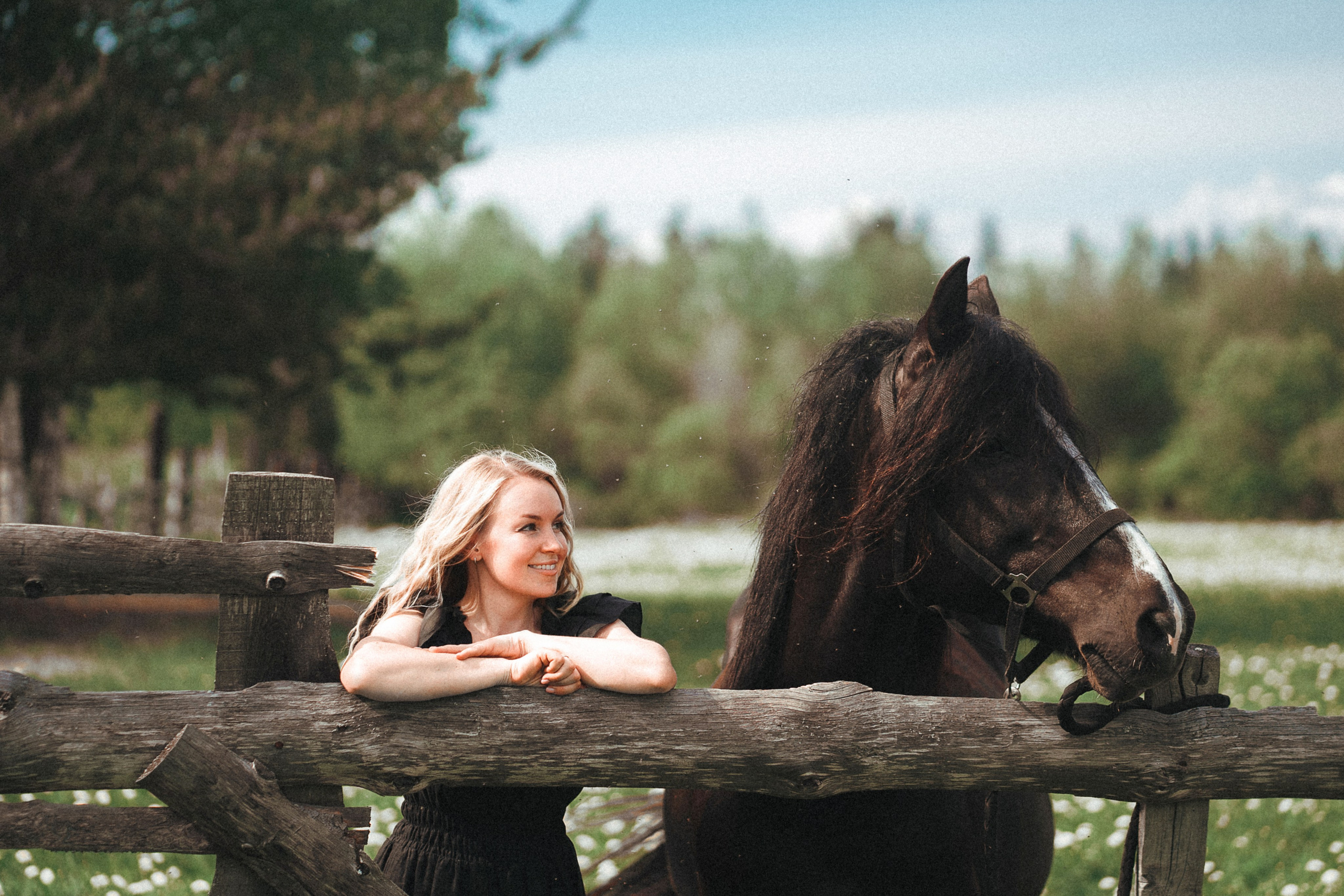 Конные. Главная