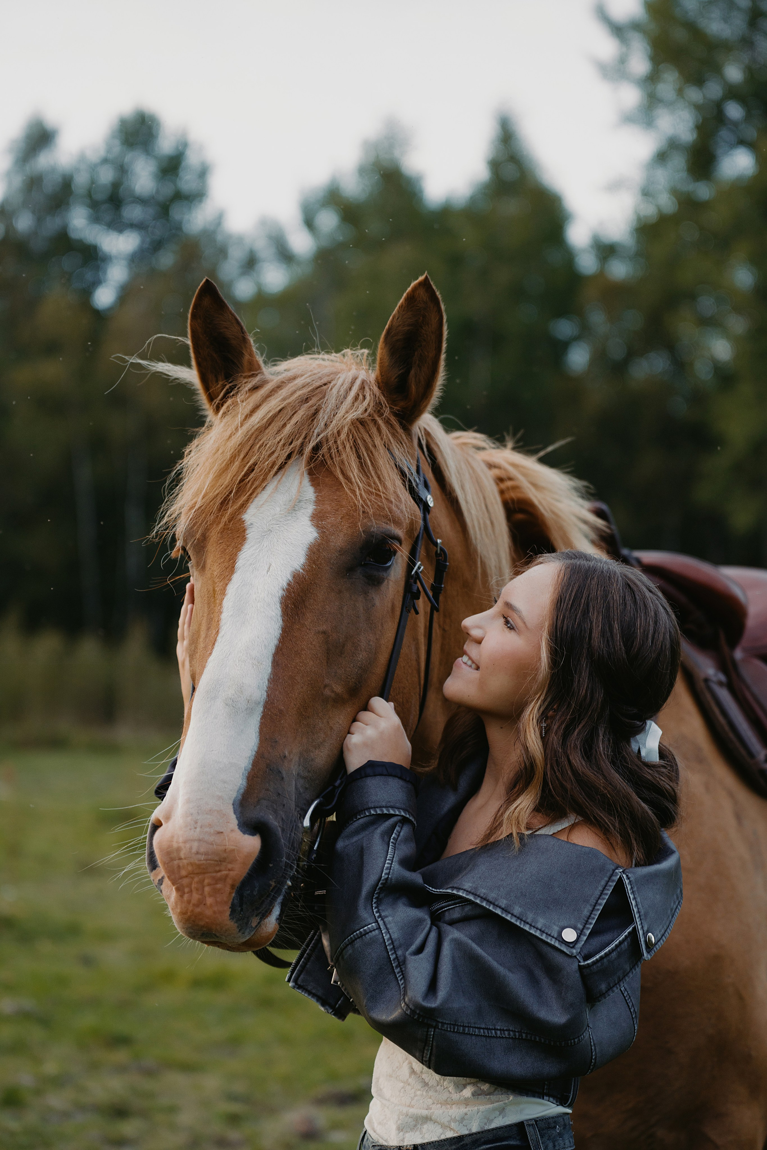 Конные. Главная