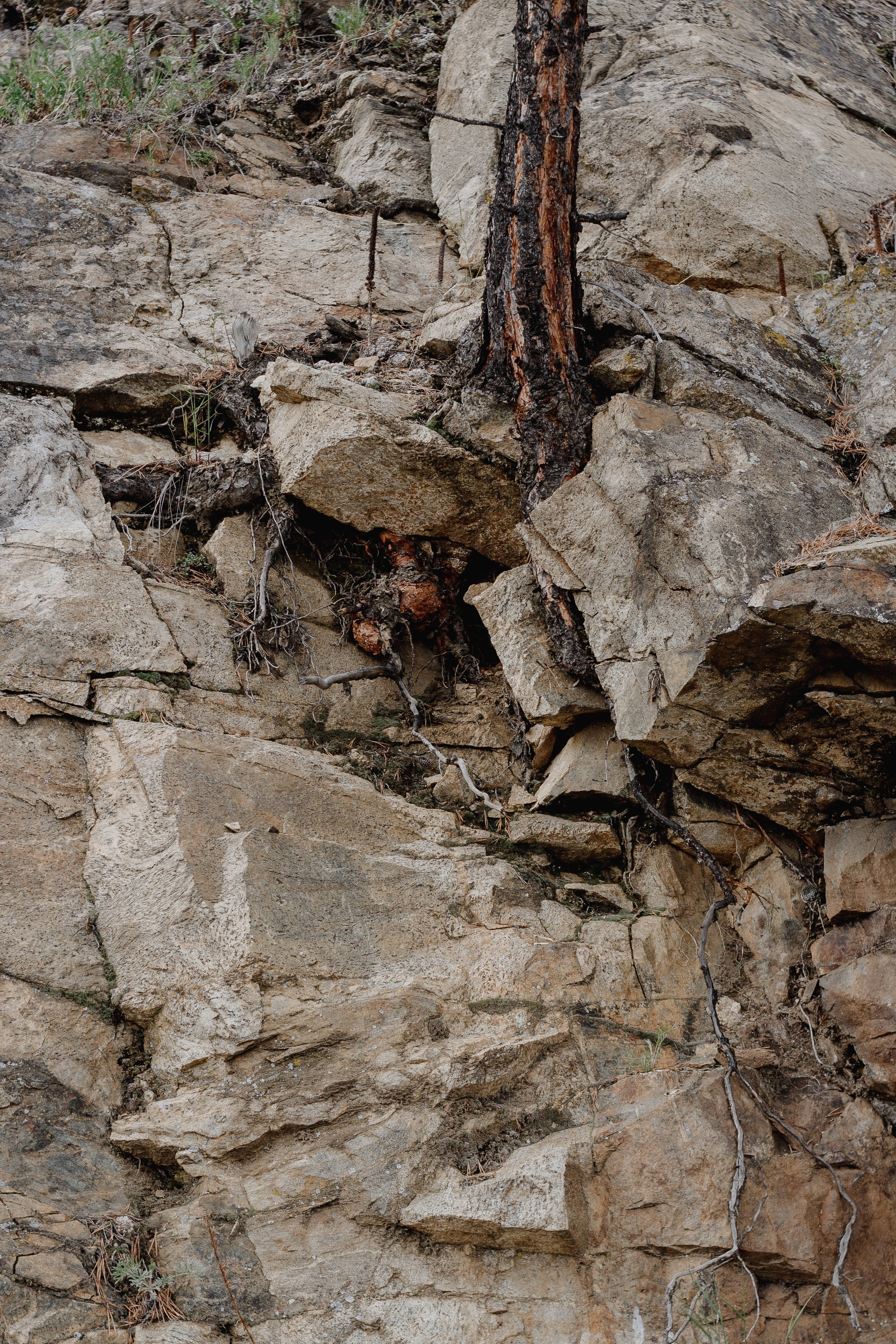 Ретрит на Байкале / Школа Ведических знаний SoVA / 7 дней, 2023. Борщевская Елизавета / фотограф Иркутск