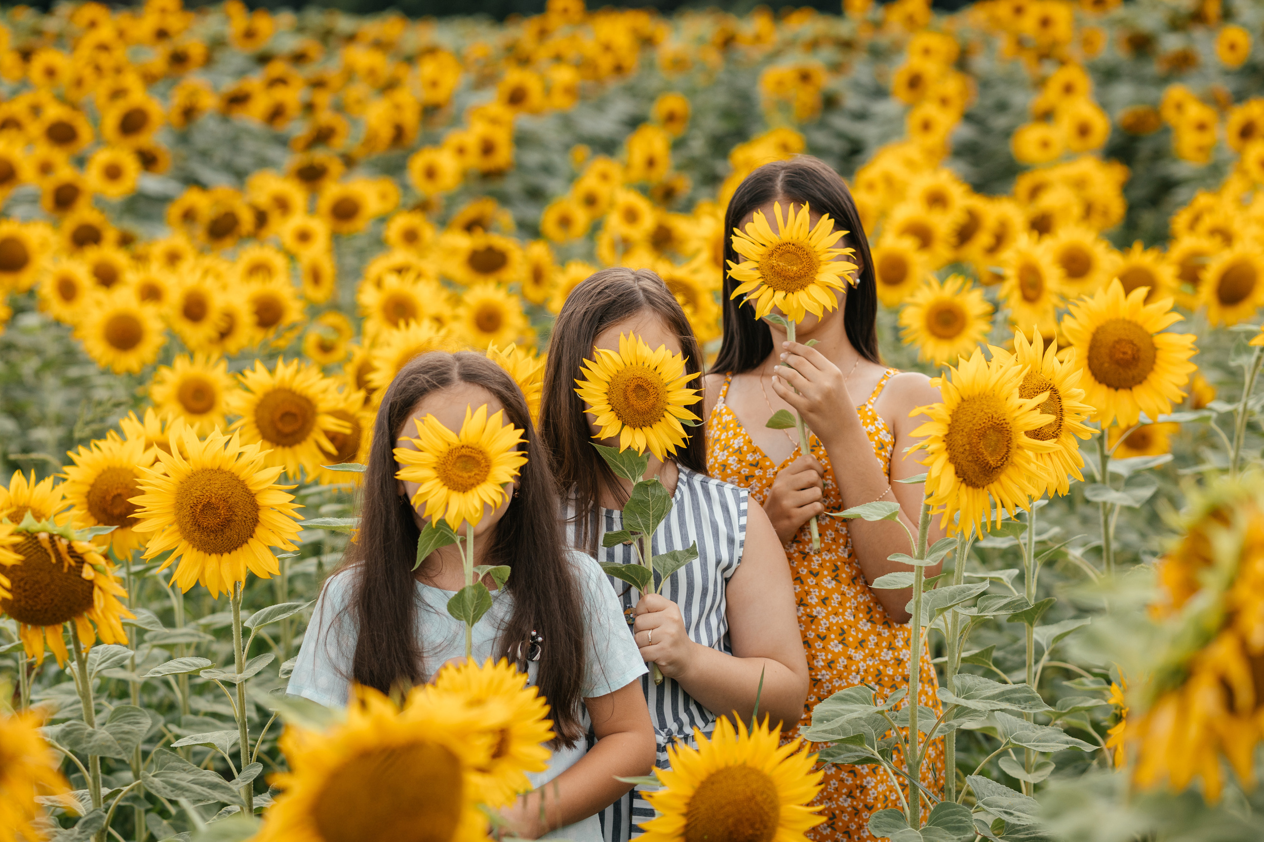 Дети. Семейный, детский, свадебный фотограф в Георгиевске Дарья Домникова