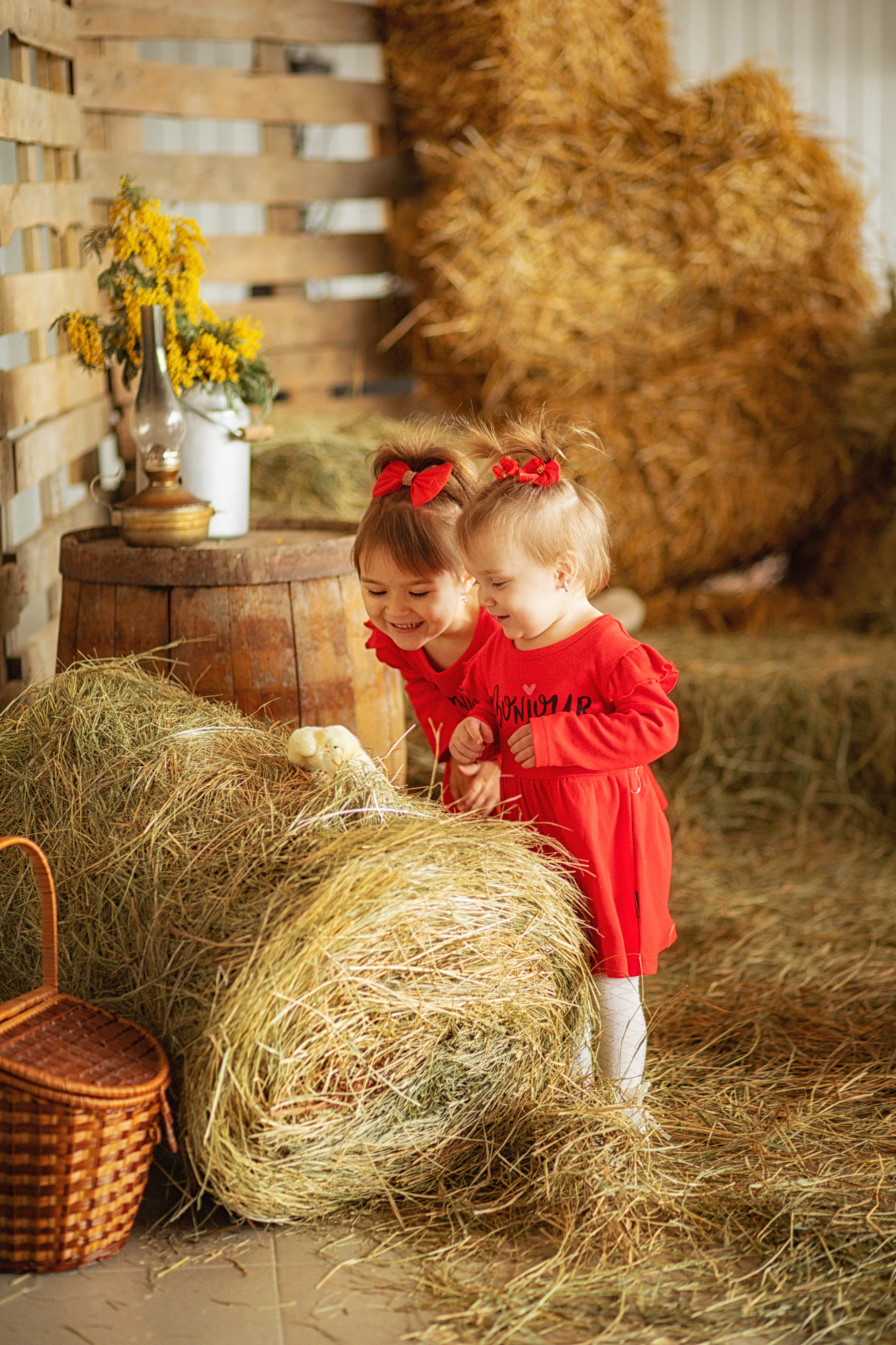 Дети. Семейный, детский, свадебный фотограф в Георгиевске Дарья Домникова