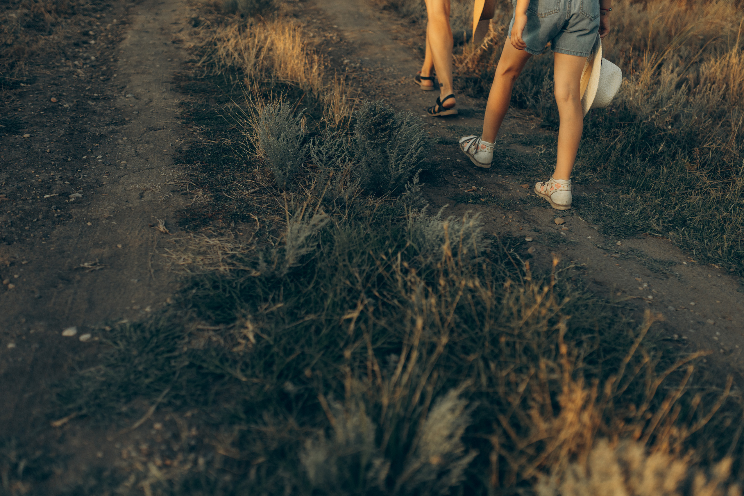 Фотосессия на закате Яна и Аня. Семейный, детский, свадебный фотограф в Георгиевске Дарья Домникова