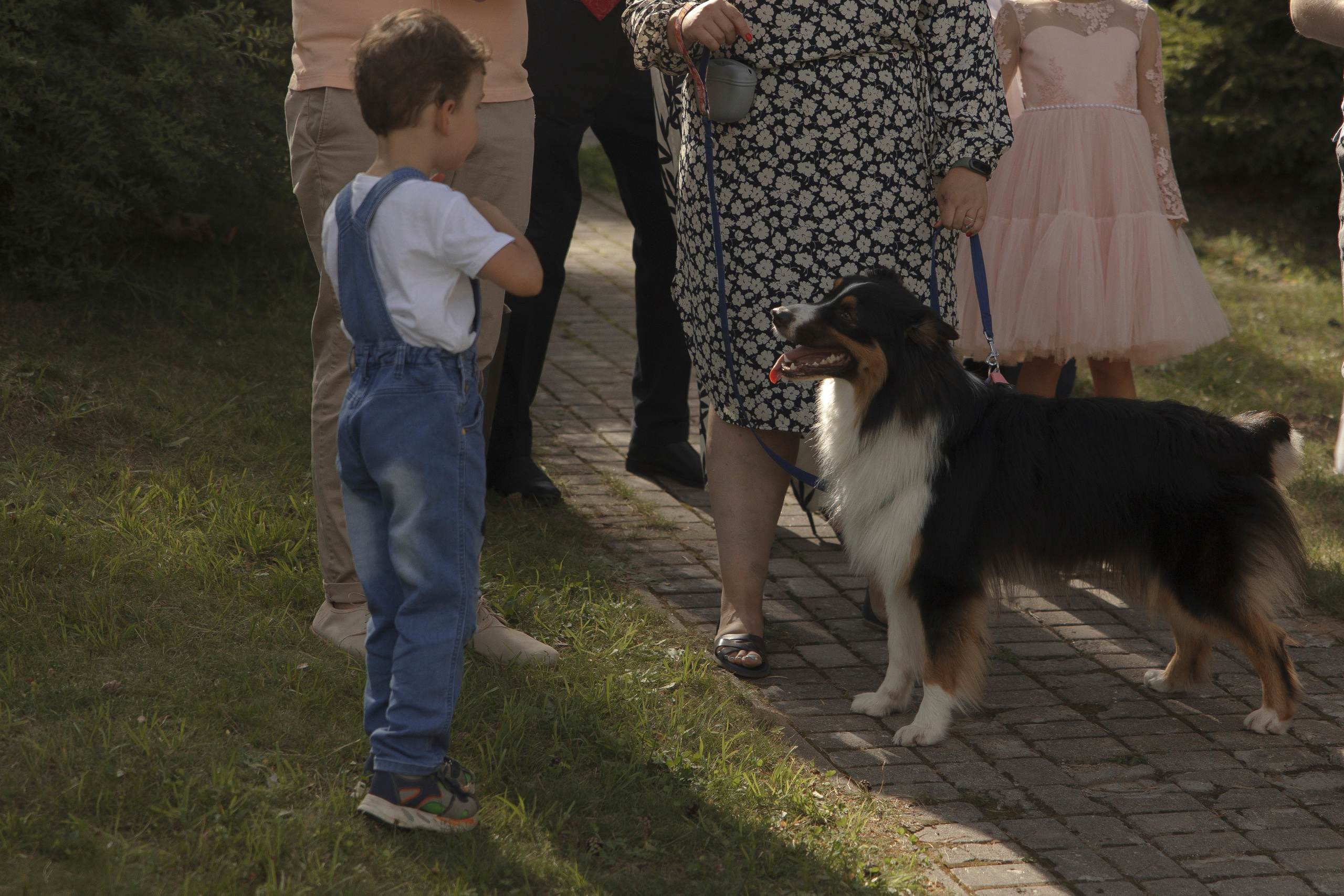 Mamma Mia! (Игорь & Катя). Wed Photographers 📷 Saint Petersburg