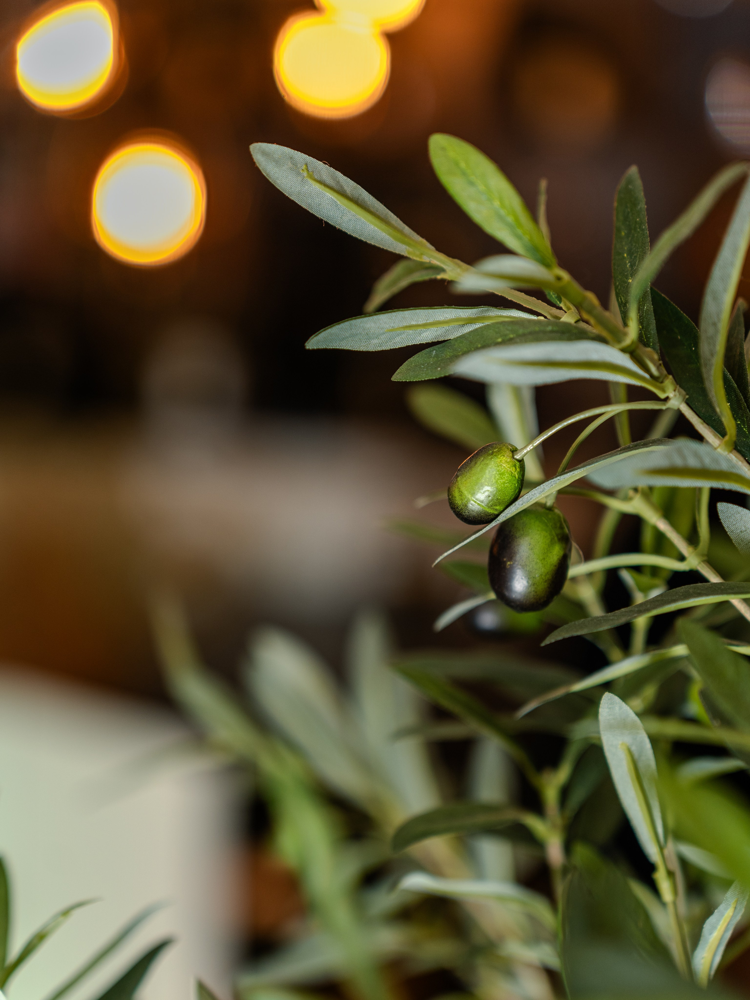 Интерьерная съемка. Фуд фотограф Самара, съемка меню и еды