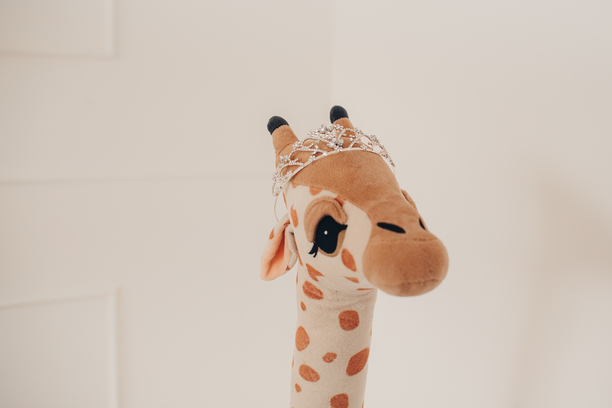 Детская фотосессия в фотостудии. Фотограф Евгения Мальцева, Архангельск