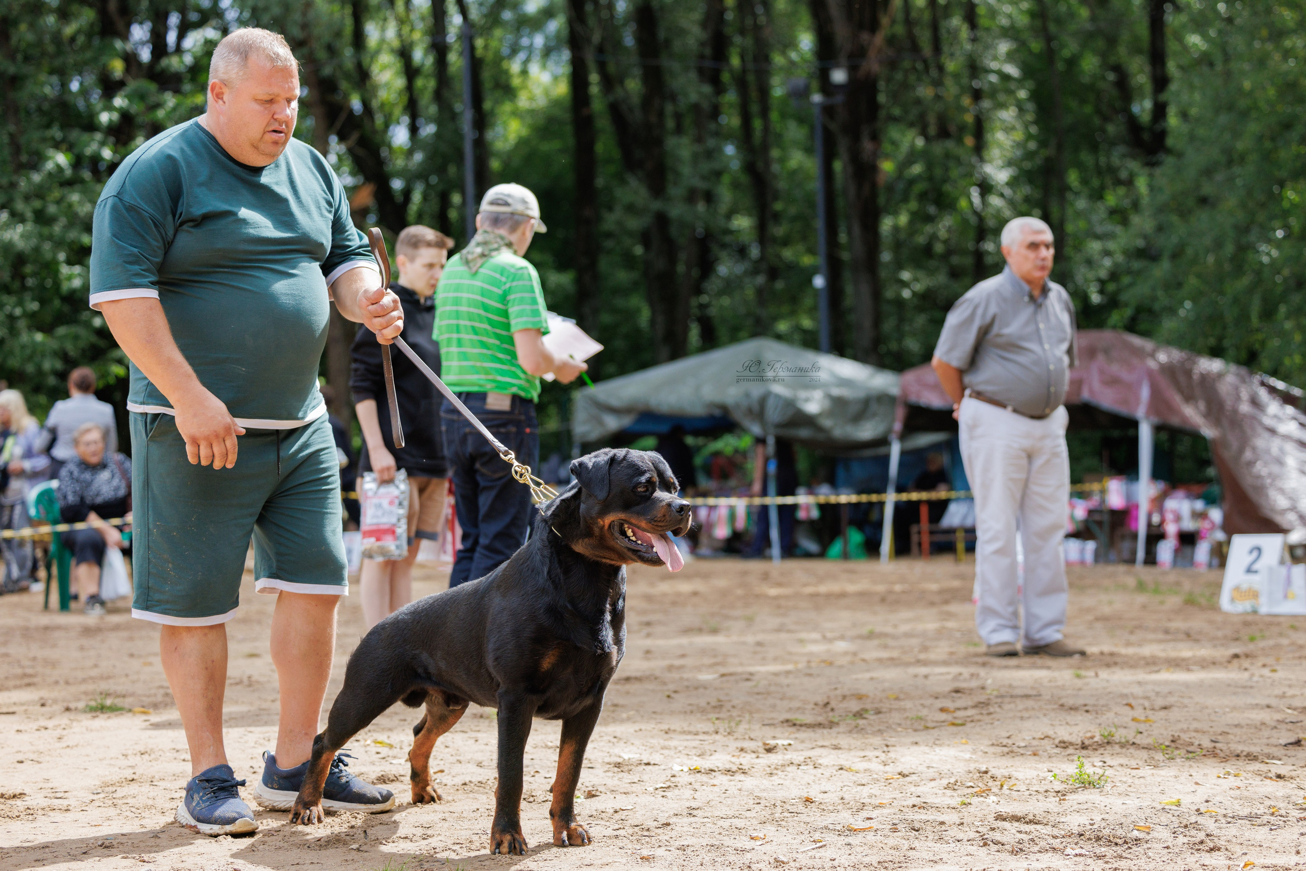 Рязань-Ховрино 10-11.08.2024 3хмоно ротвейлеров. Фотограф-анималист Юлия Германика