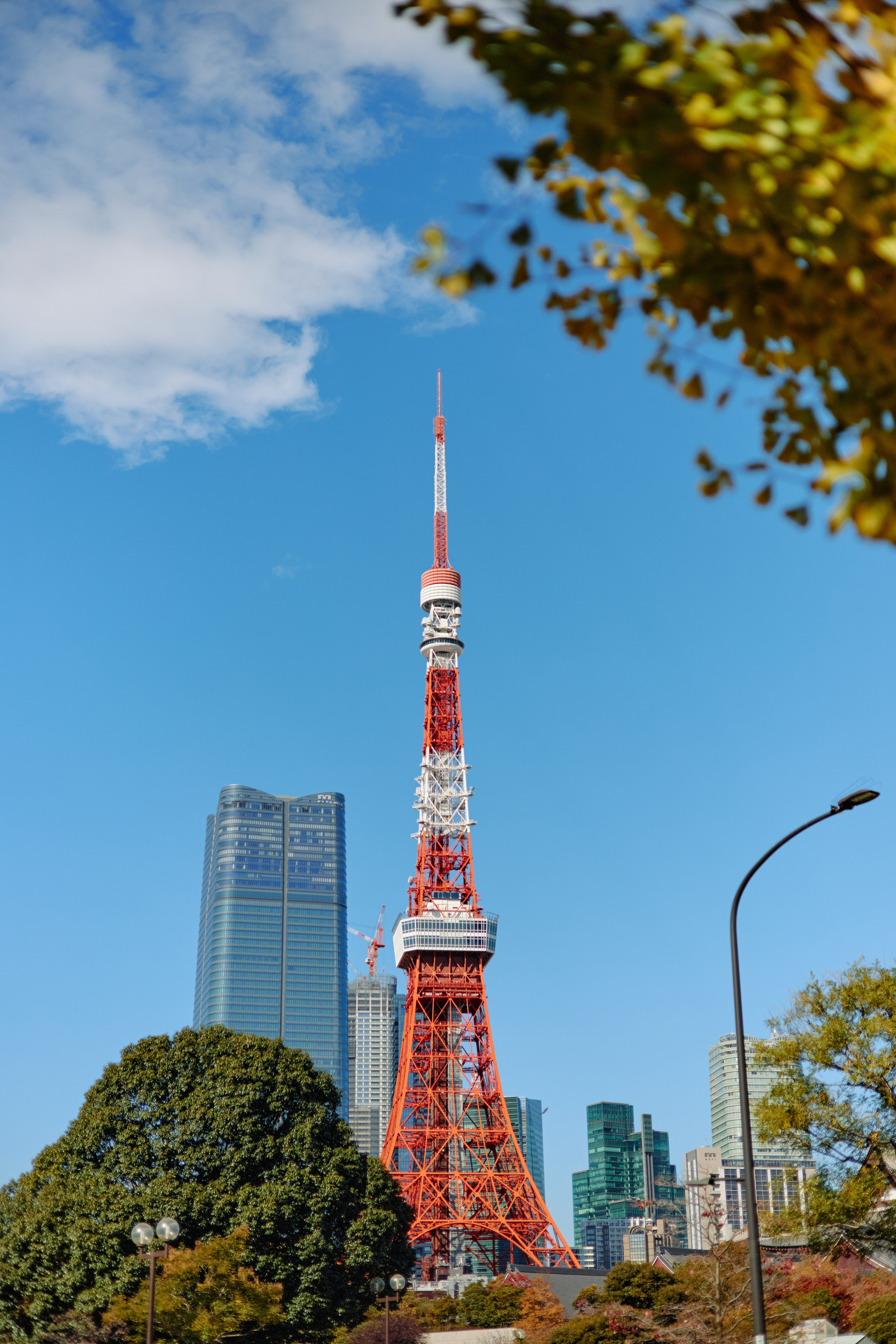 Япония. Профессиональный Фотограф во Владимире, в Москве и в Суздале — Полина Романычева