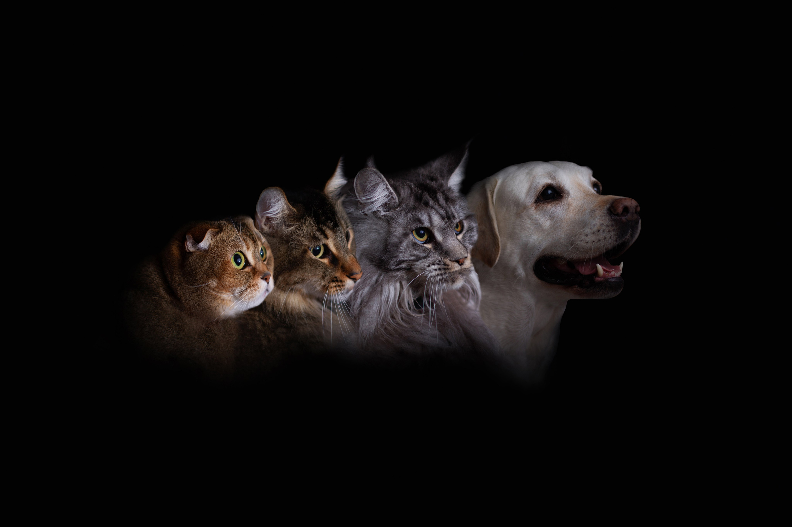 Портрет поколений. Детский и семейный фотограф в Москве и МО