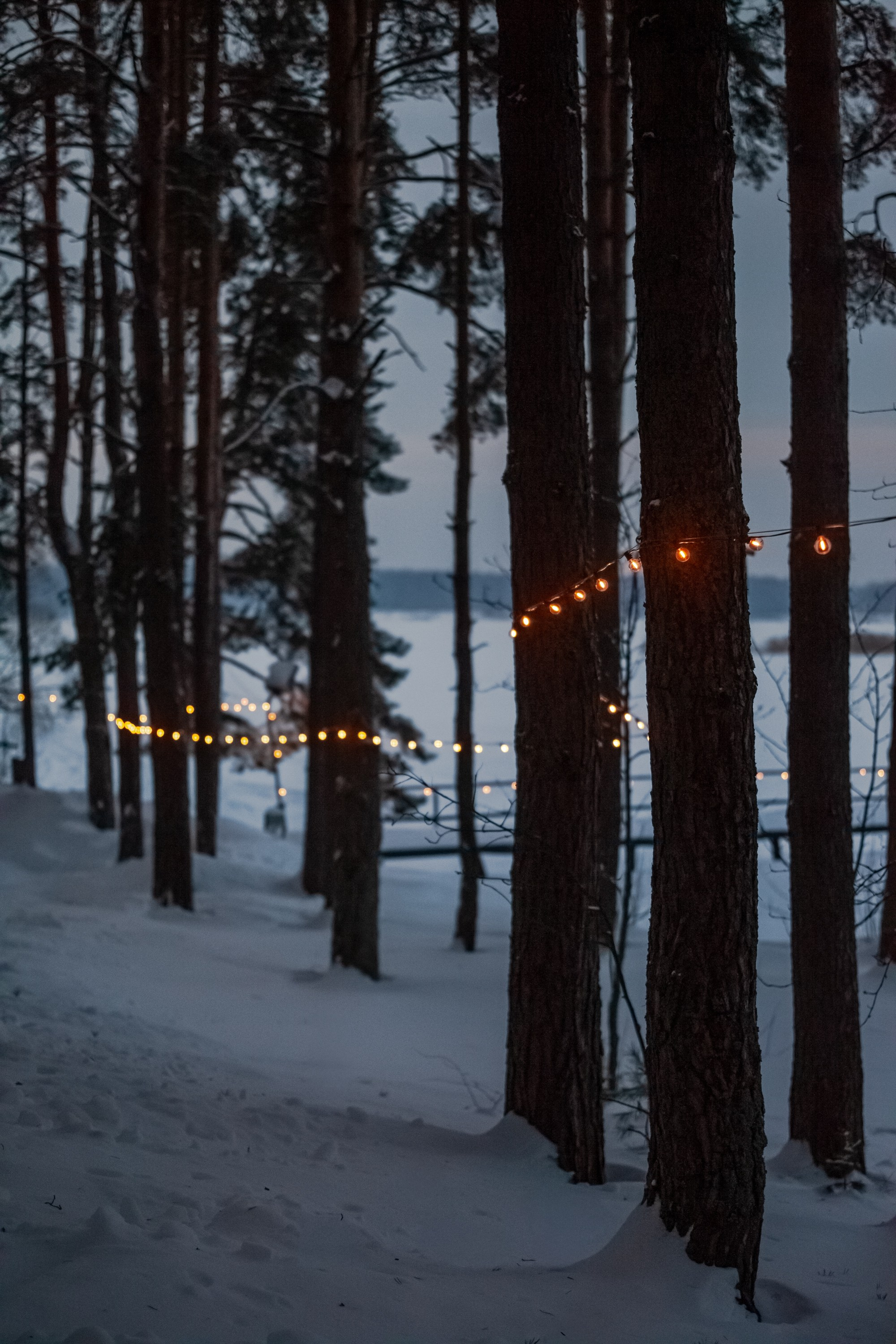 Выключить шум и услышать тишину, утихомирить свои мысли и приземлиться. В фокусе- человек и его состояние!. Туманов Виталий — фотограф Москва