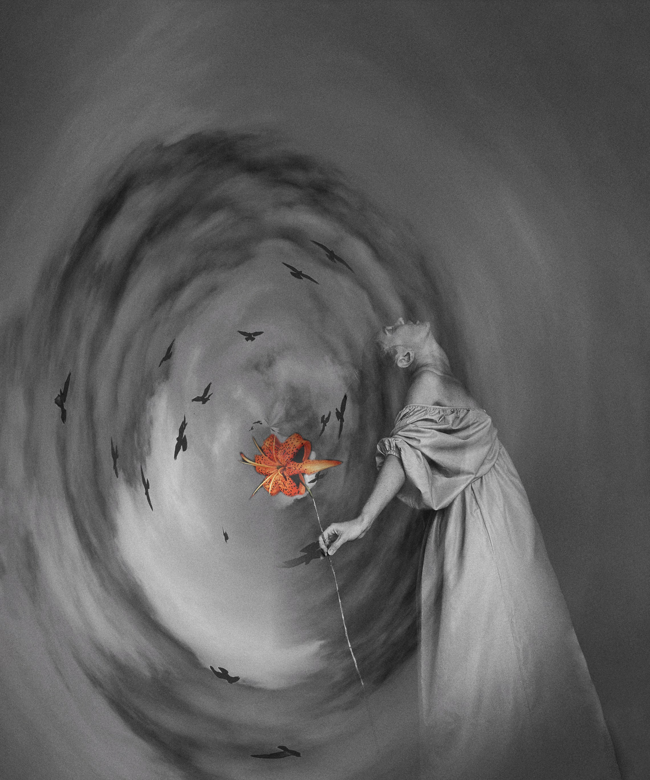 Portfolio. Visual Artist Olga Kuterina