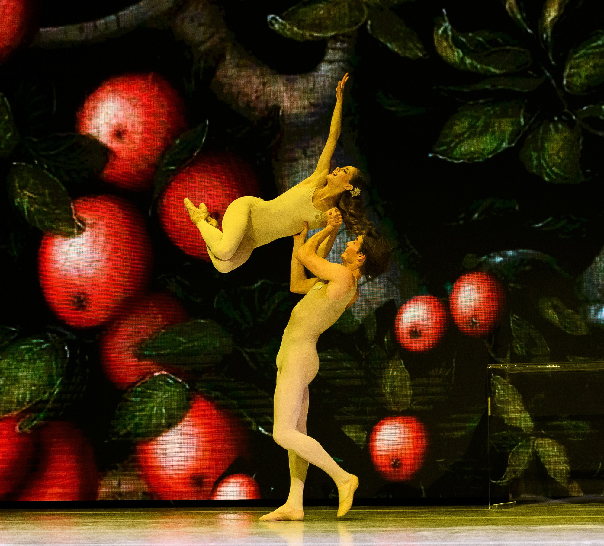 «Сотворение Мира» балет Театр Классического балета Касаткиной Василёва 2025 г