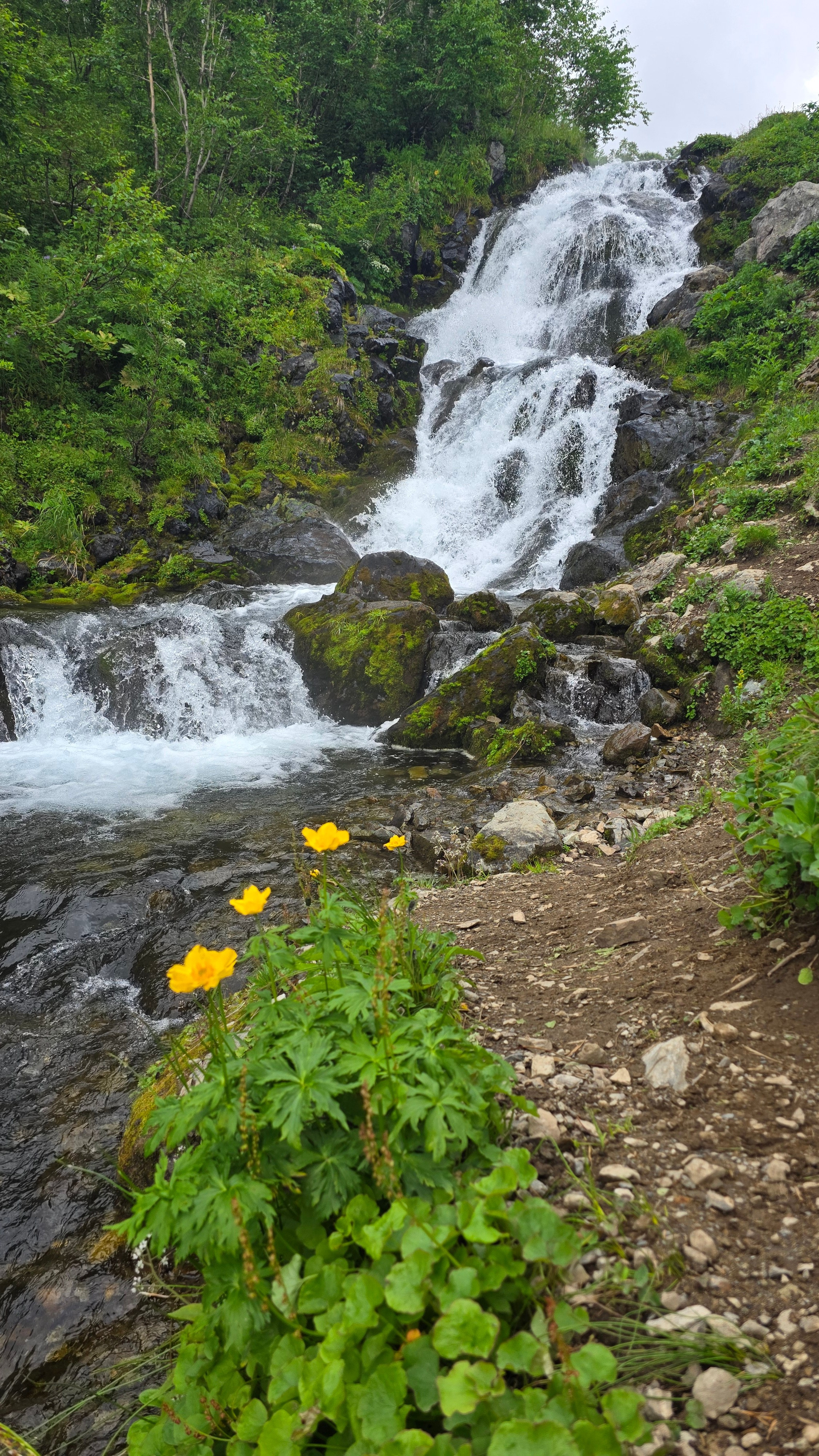 Горный массив Вачкажец и купание в термальных источниках. Экскурсионные туры по Камчатке