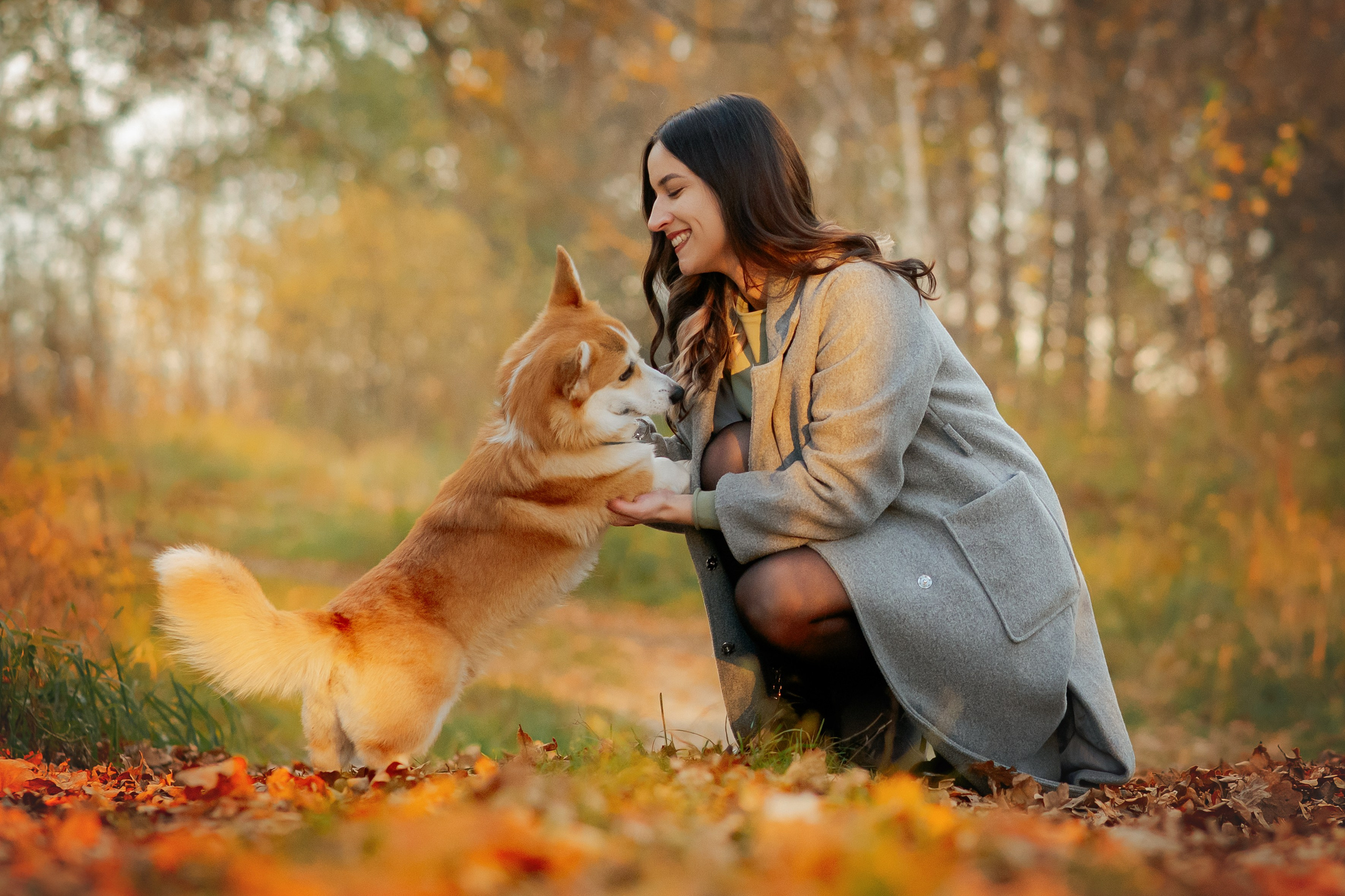 Максим, Надя, Рой и Шелби — 13.10.2024. Фотограф — Анималист | Анна Абрамова
