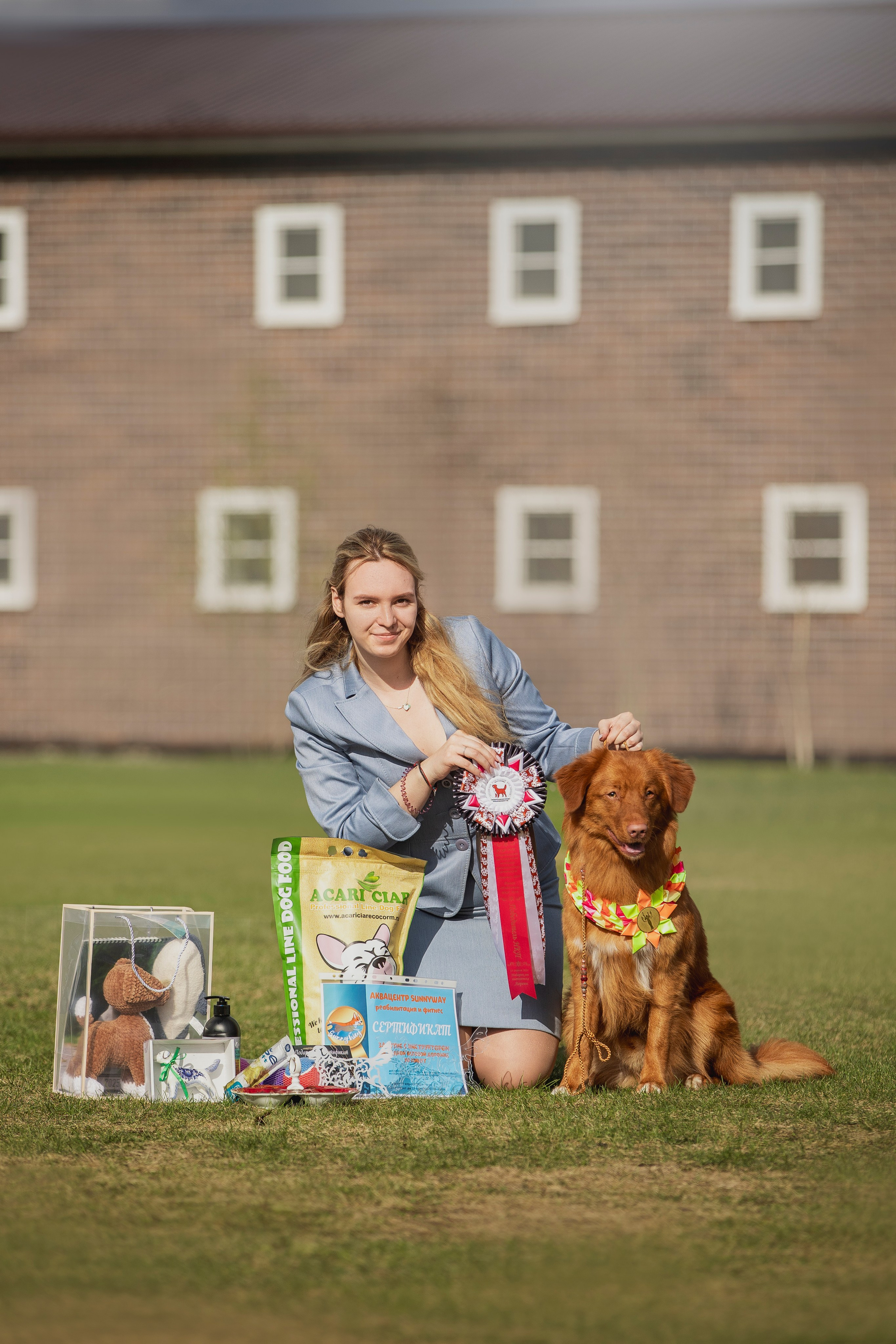 Толлер Орландо (Выставка). Фотограф анималист в Москве Майорова Евгения