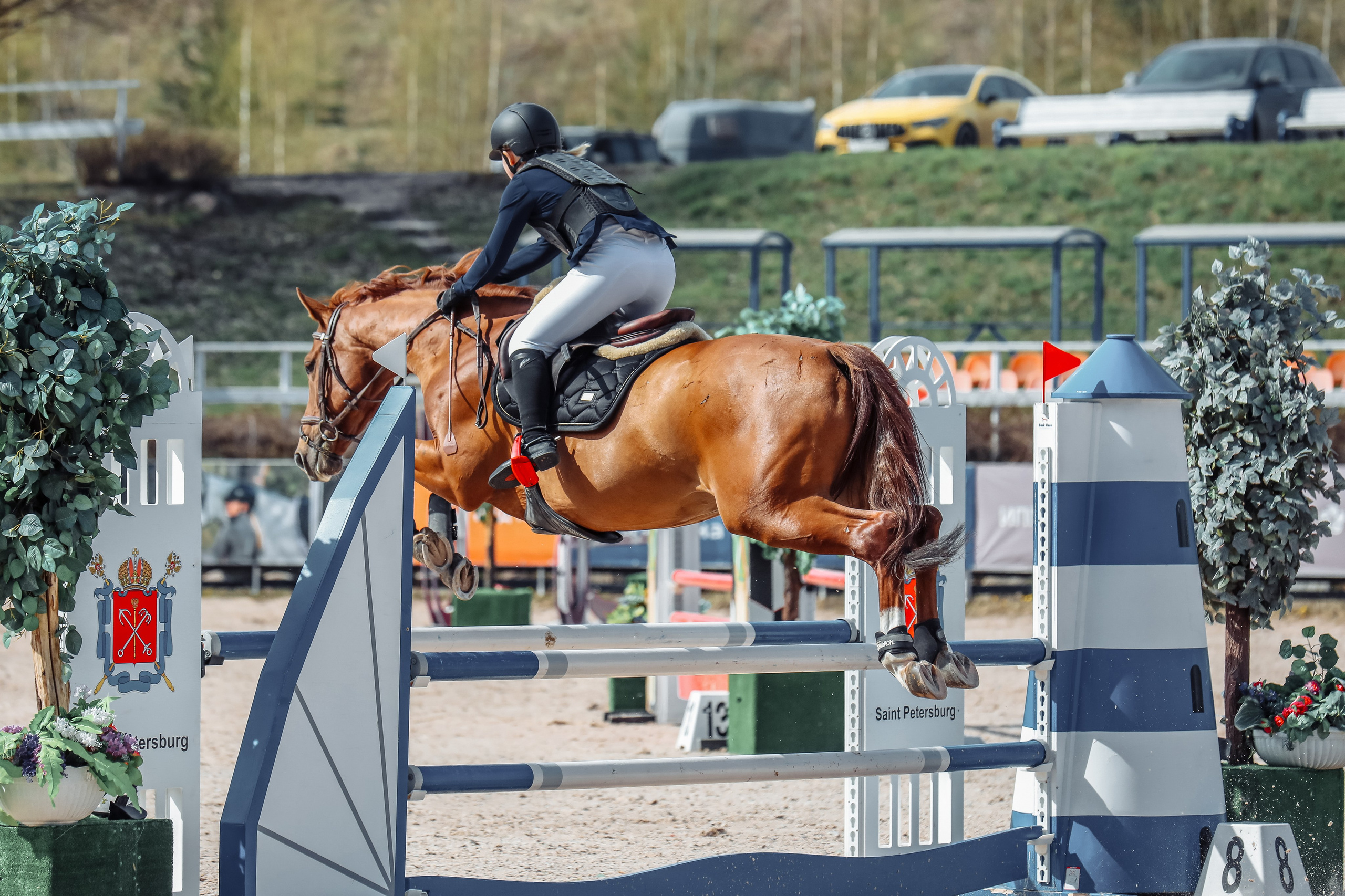 Лошади Евы Демидовой. Ева Демидова. Спортсмен по конкуру в Санкт-Петербуре