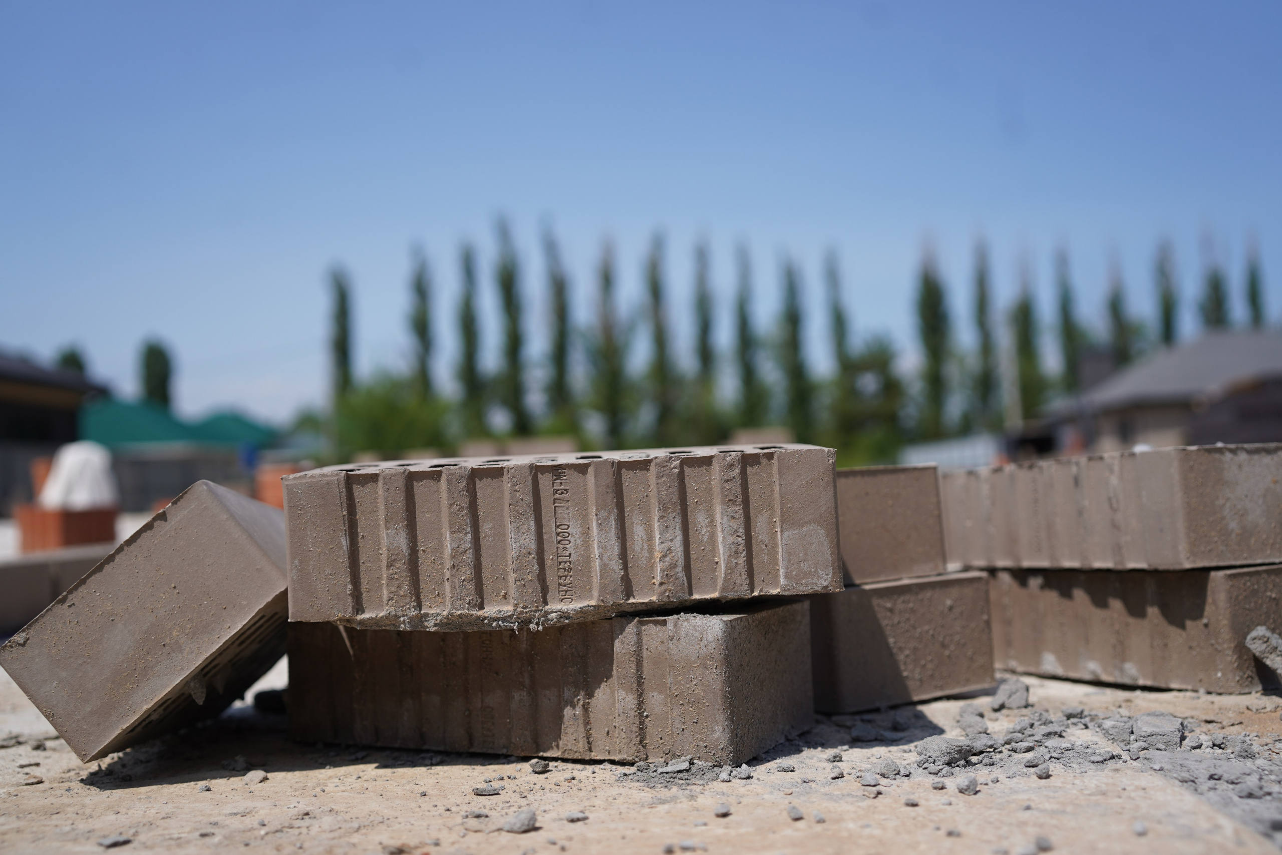 Покровский сад. Das House