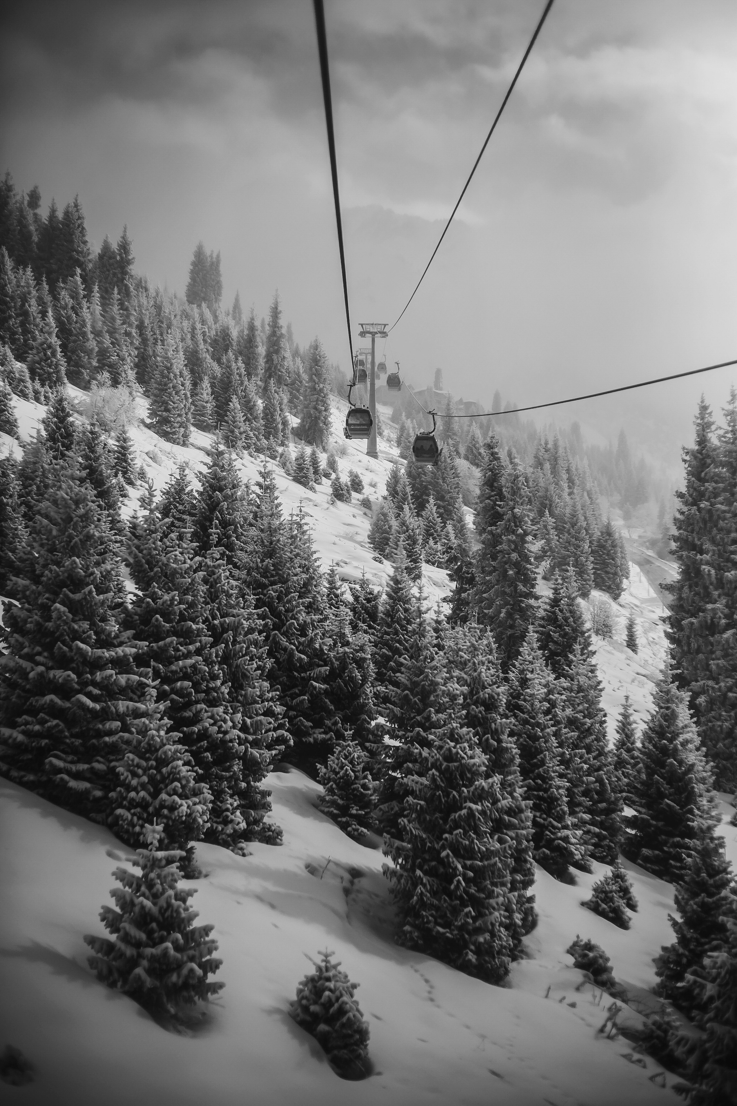 Action. Фотограф в Алматы Виктор Магдеев