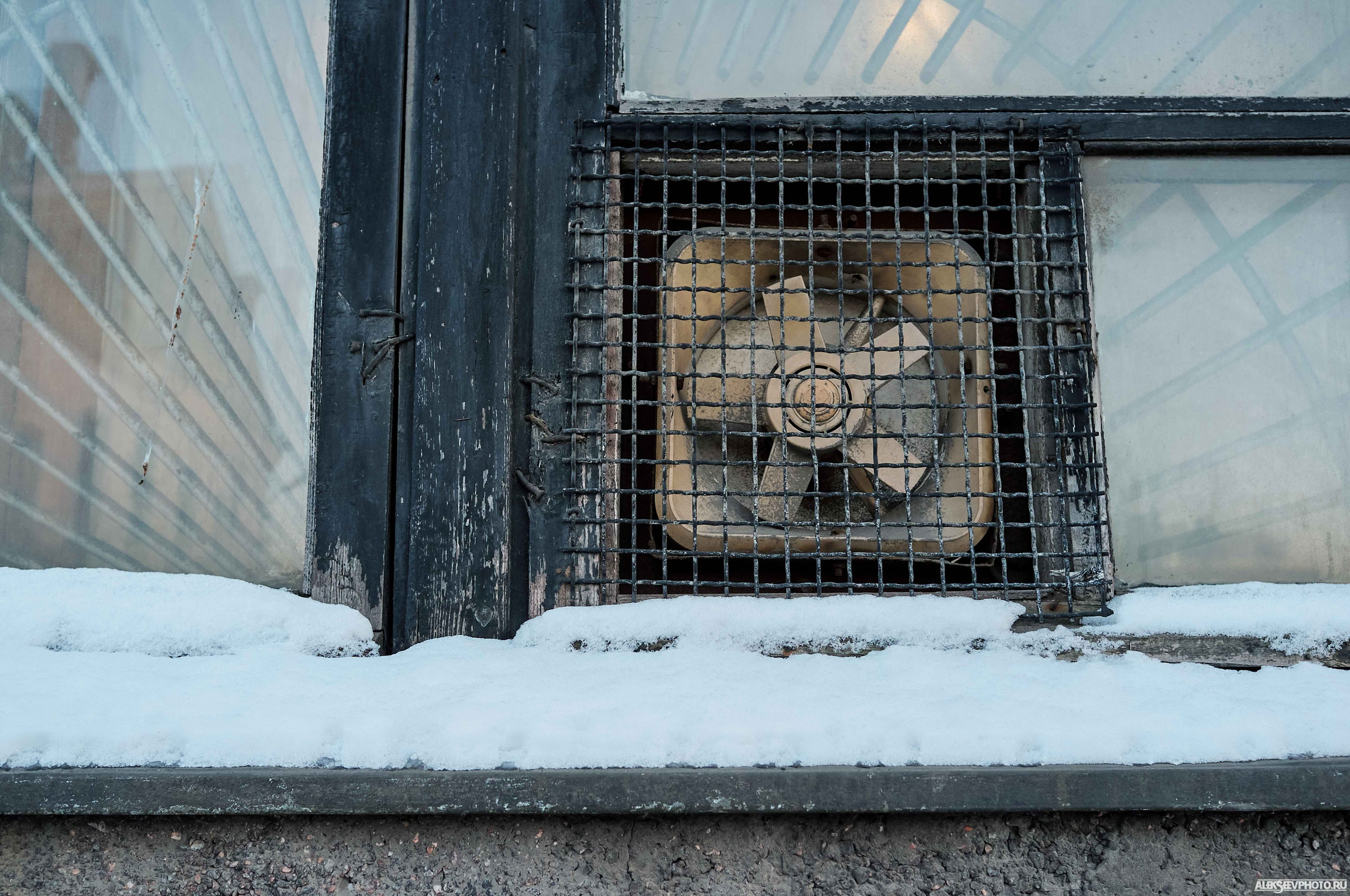 2021.03. Фотограф Алексей Алексеев