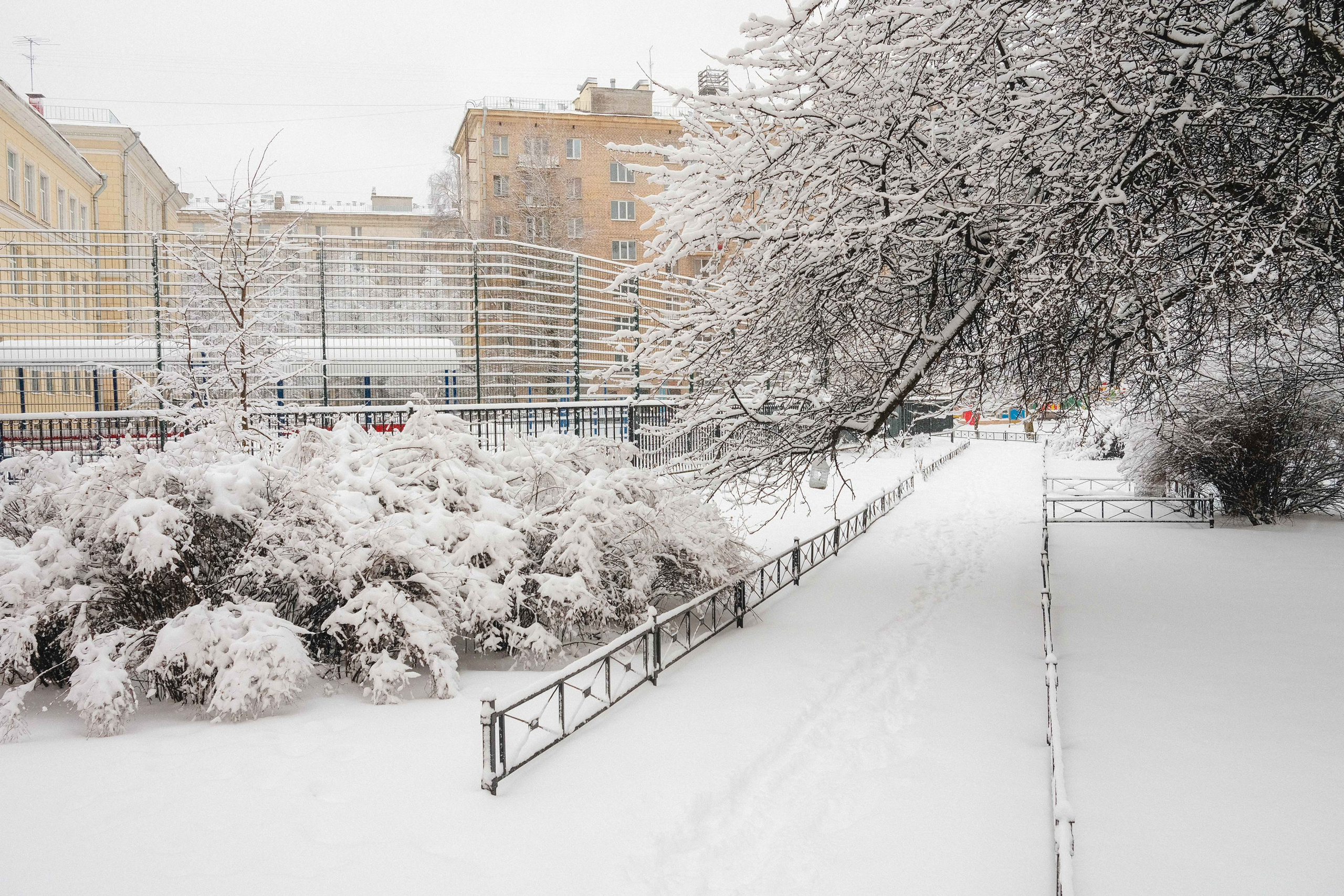 2023.03. Фотограф Алексей Алексеев