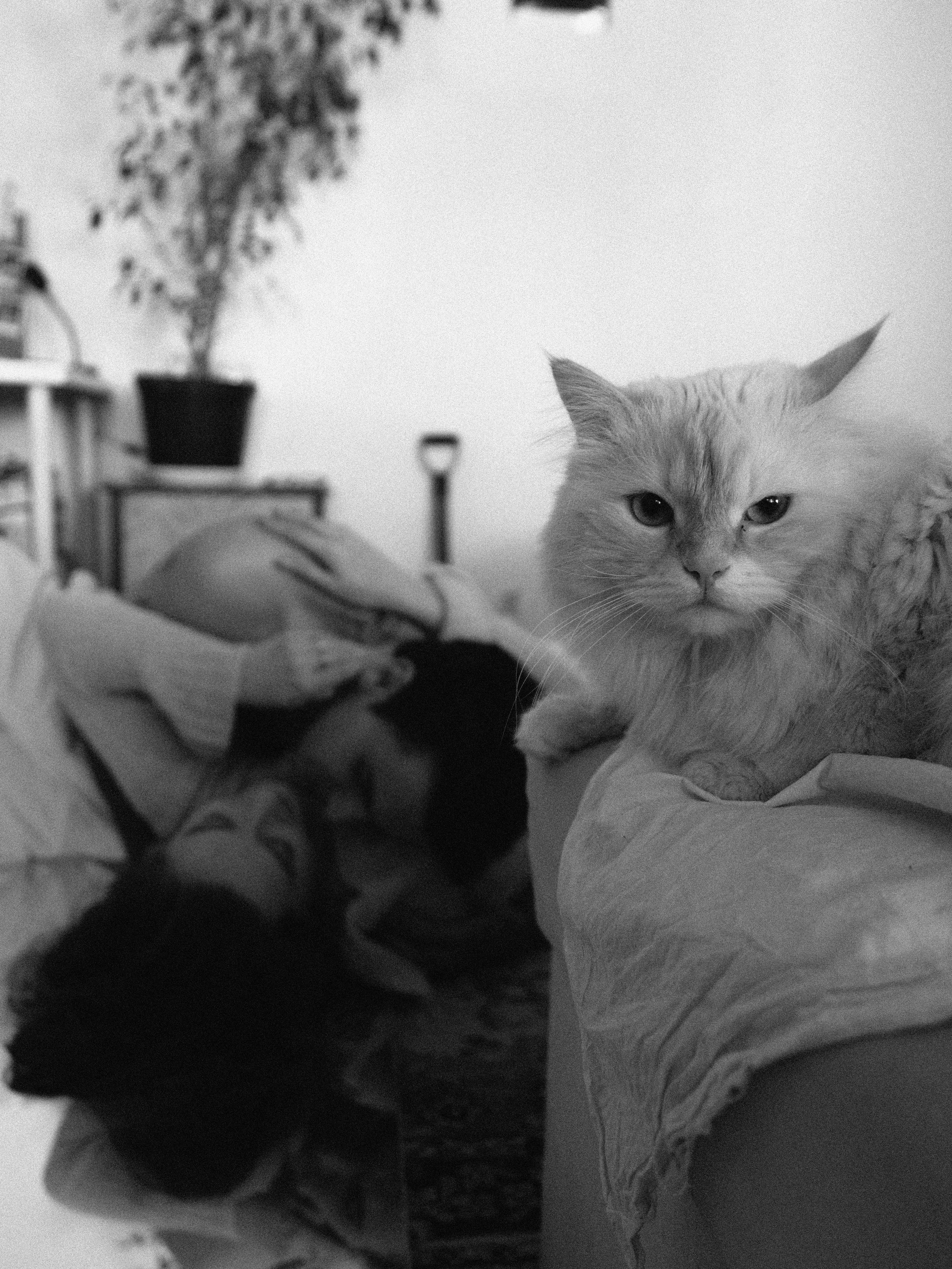 Lovestory. Свадебный фотограф в Санкт-Петербурге и Москве Андрей Чернов