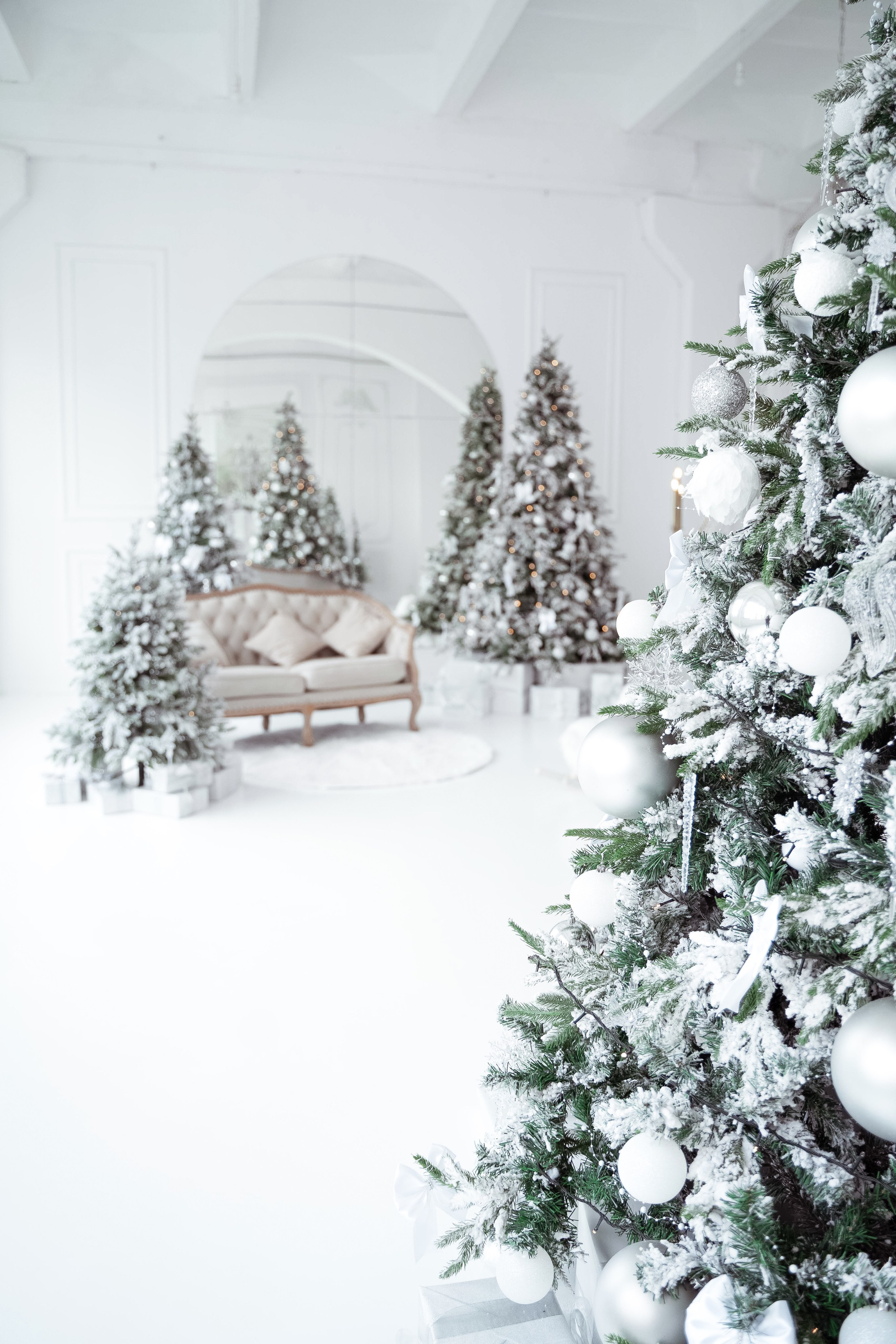 Зал Ренессанс. Фотограф г. Хабаровск. Семейные и индивидуальные съёмки