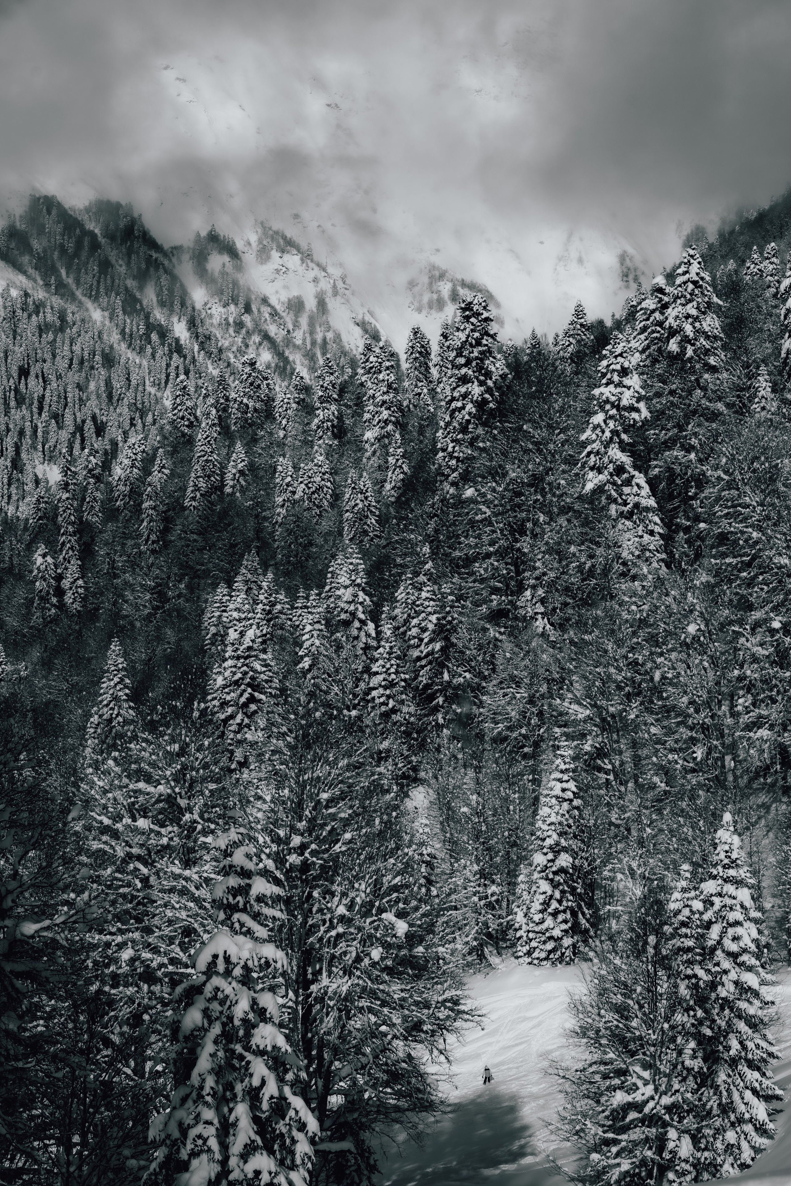 Путешествия и пейзаж. Репортажный фотограф в Красной Поляне и Сочи Павлюченко Екатерина