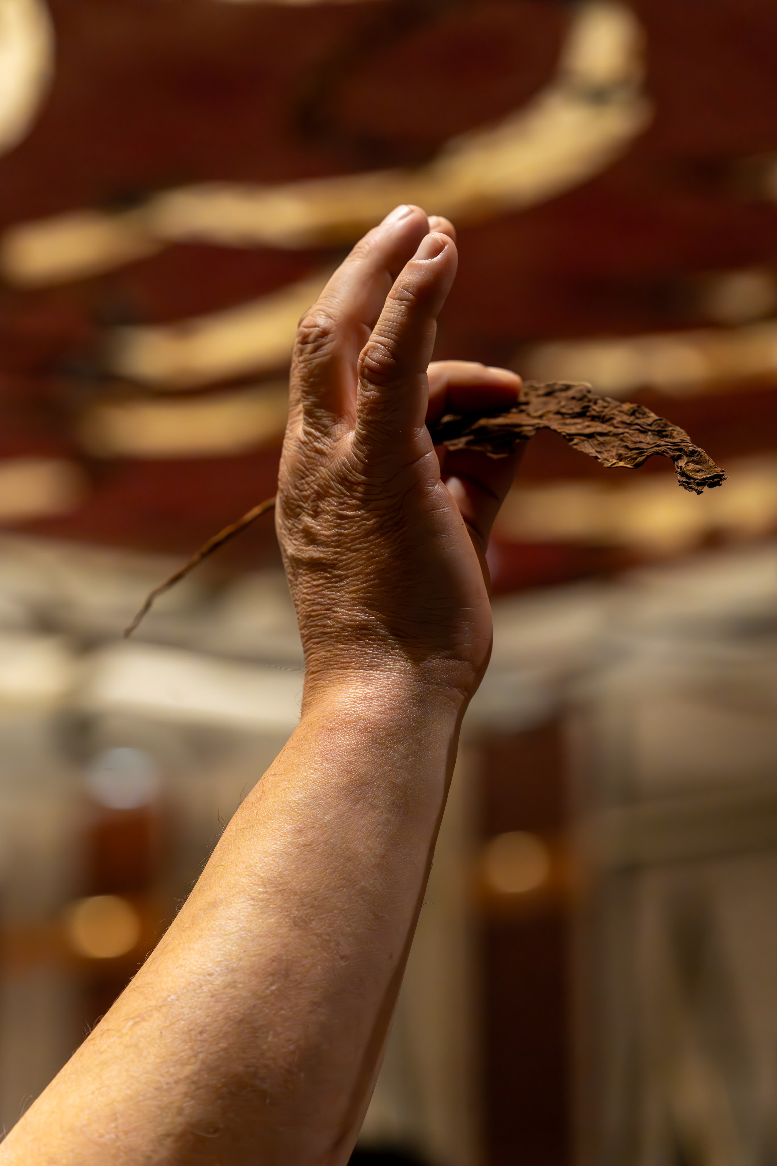 MICE мероприятие для компании «Базис». Репортажный фотограф в Красной Поляне и Сочи Павлюченко Екатерина