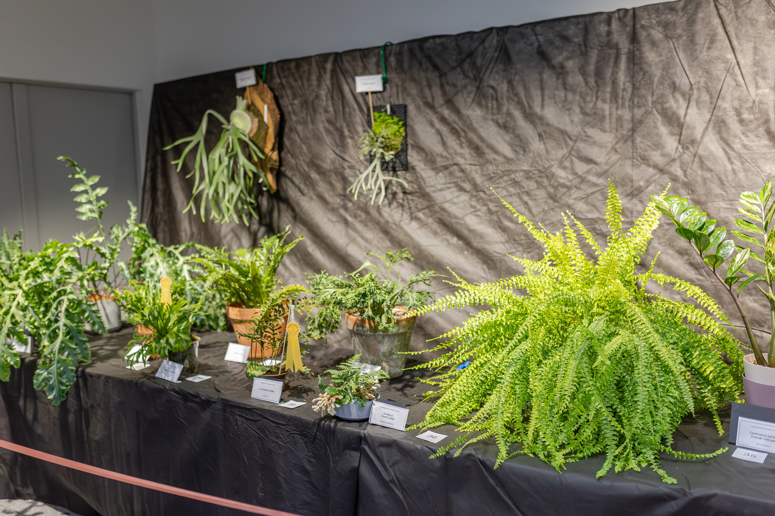 Монстериум апрель 2026. Александра Куликова фотограф, Москва