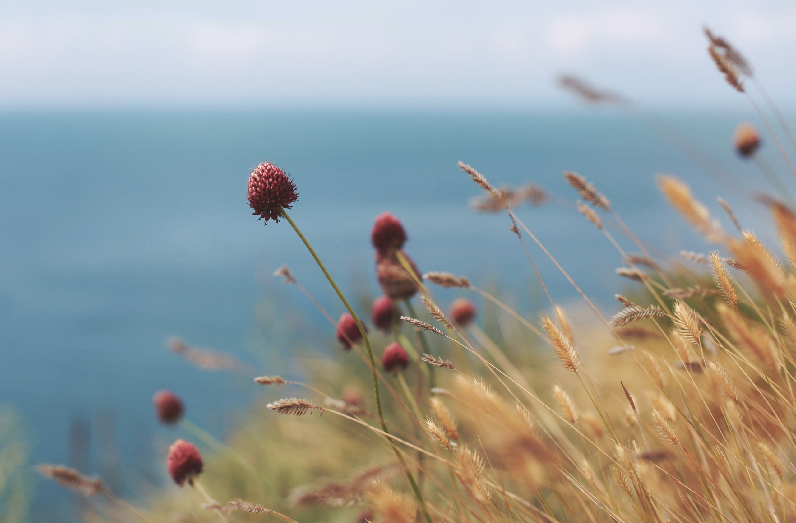 Болгария. Аня Степанова