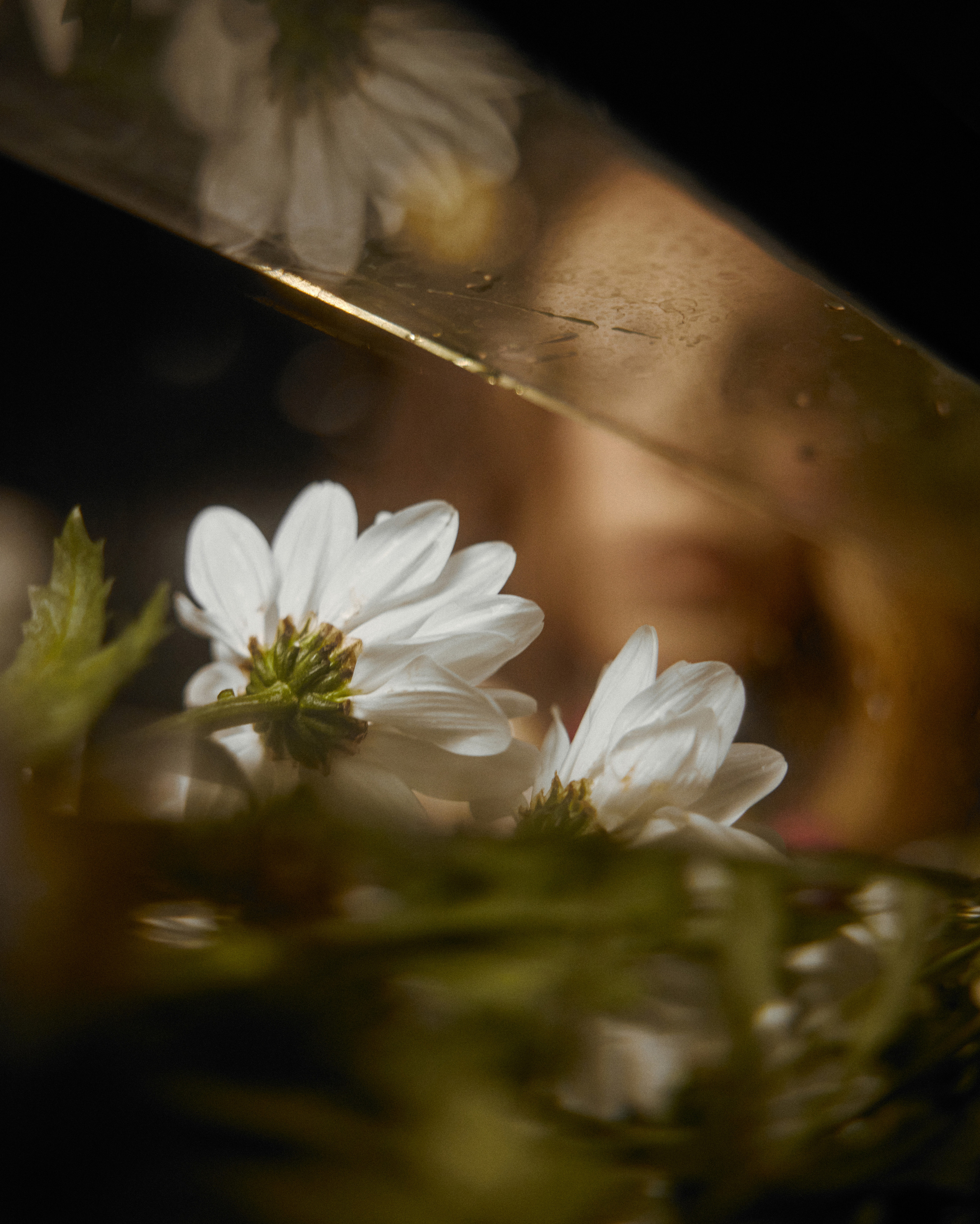 Sasha Breathe. Коммерческий фотограф