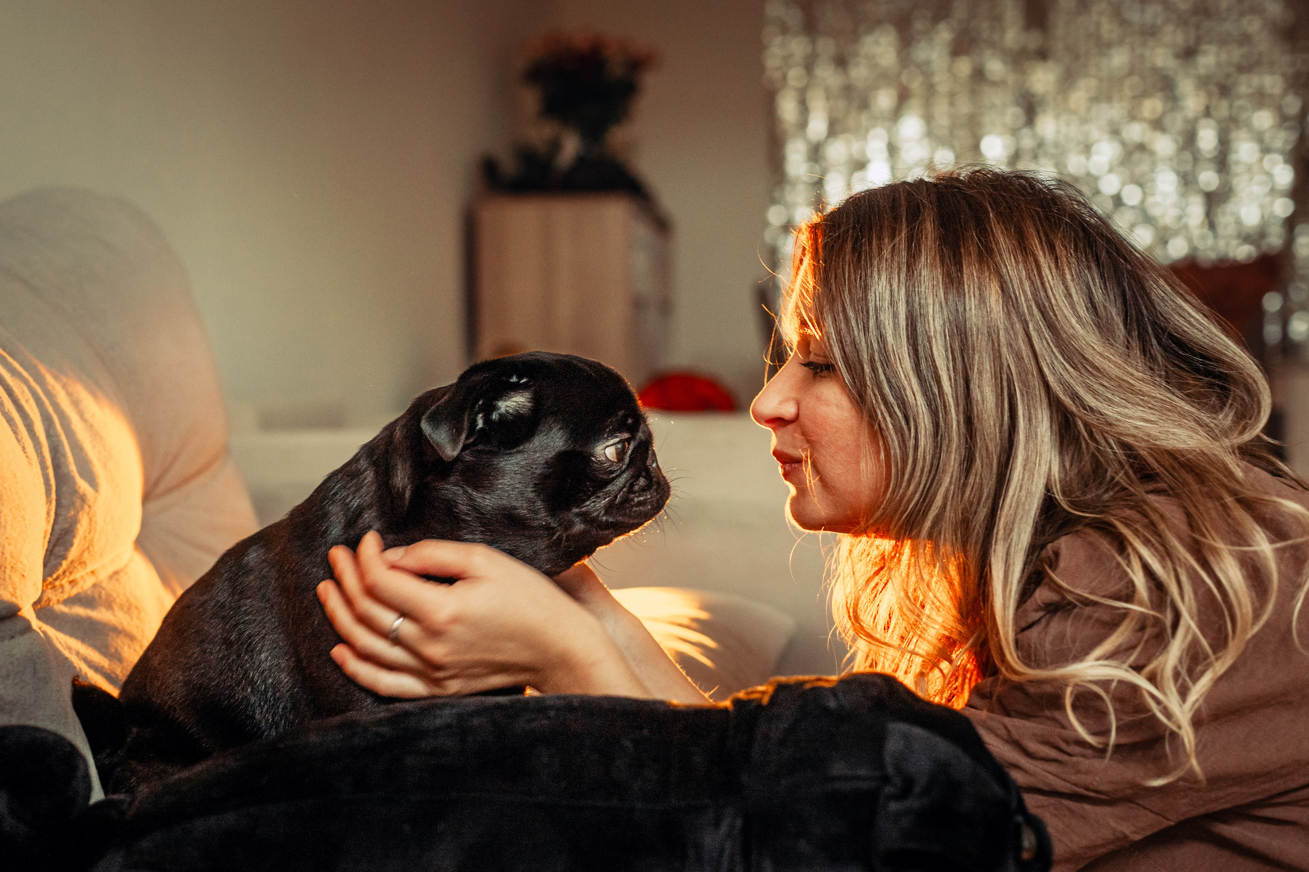 Оля, Харви, Луис. Фотограф-анималист Татьяна Степанова