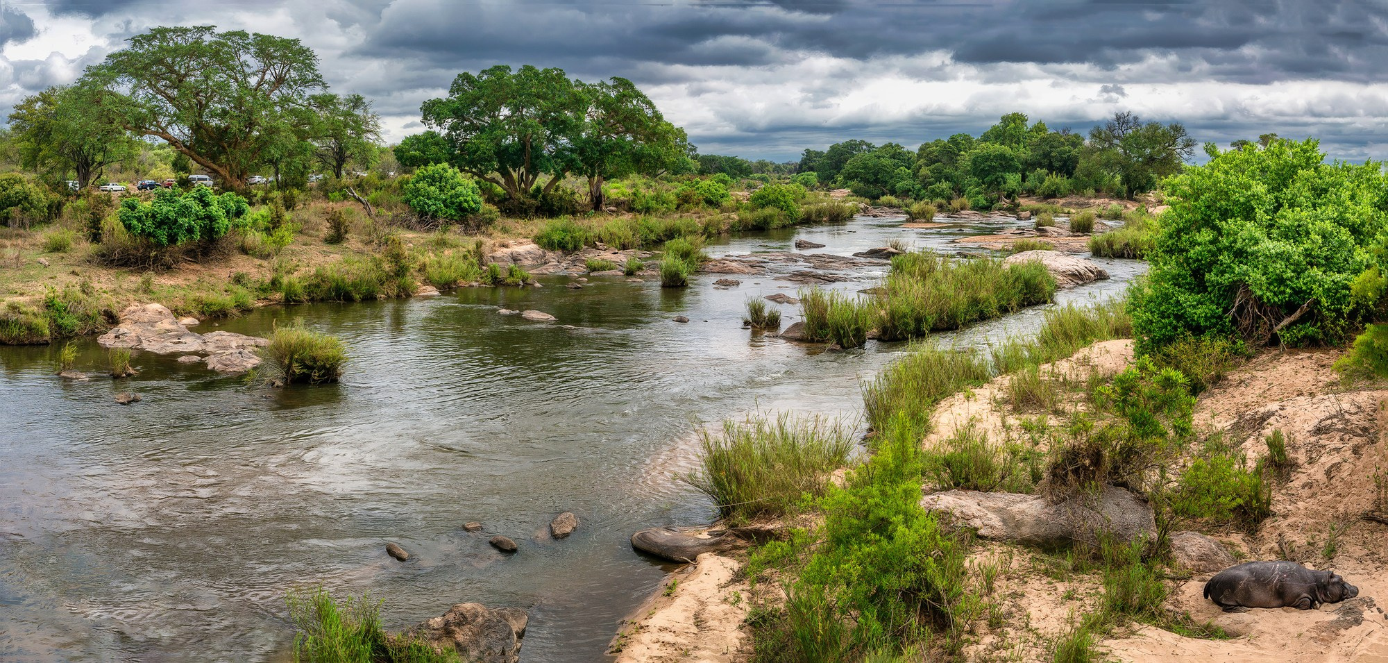 Сафари (ЮАР). Фотограф Владимир Остапенко